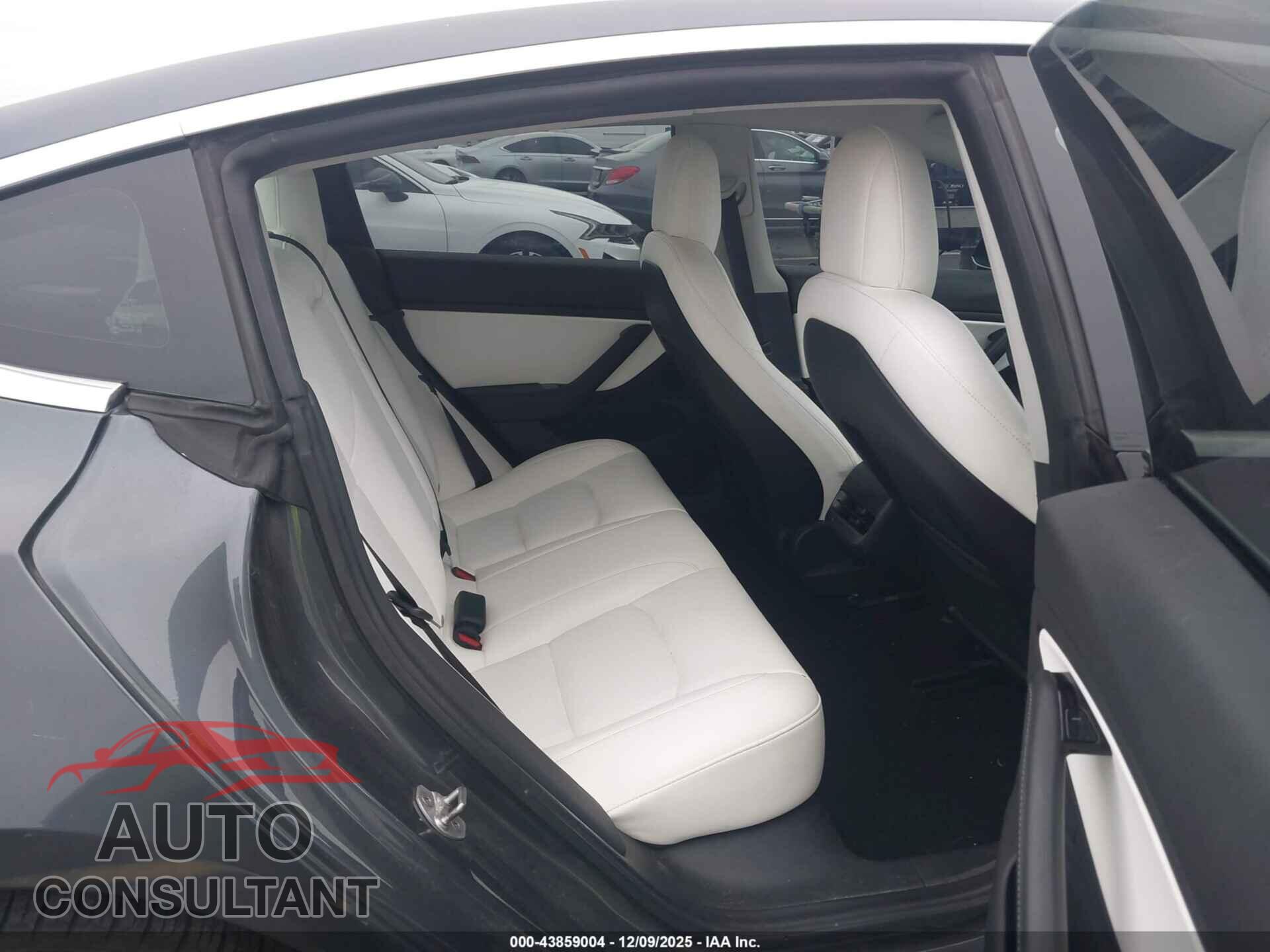 TESLA MODEL 3 2019 - 5YJ3E1EBXKF195530