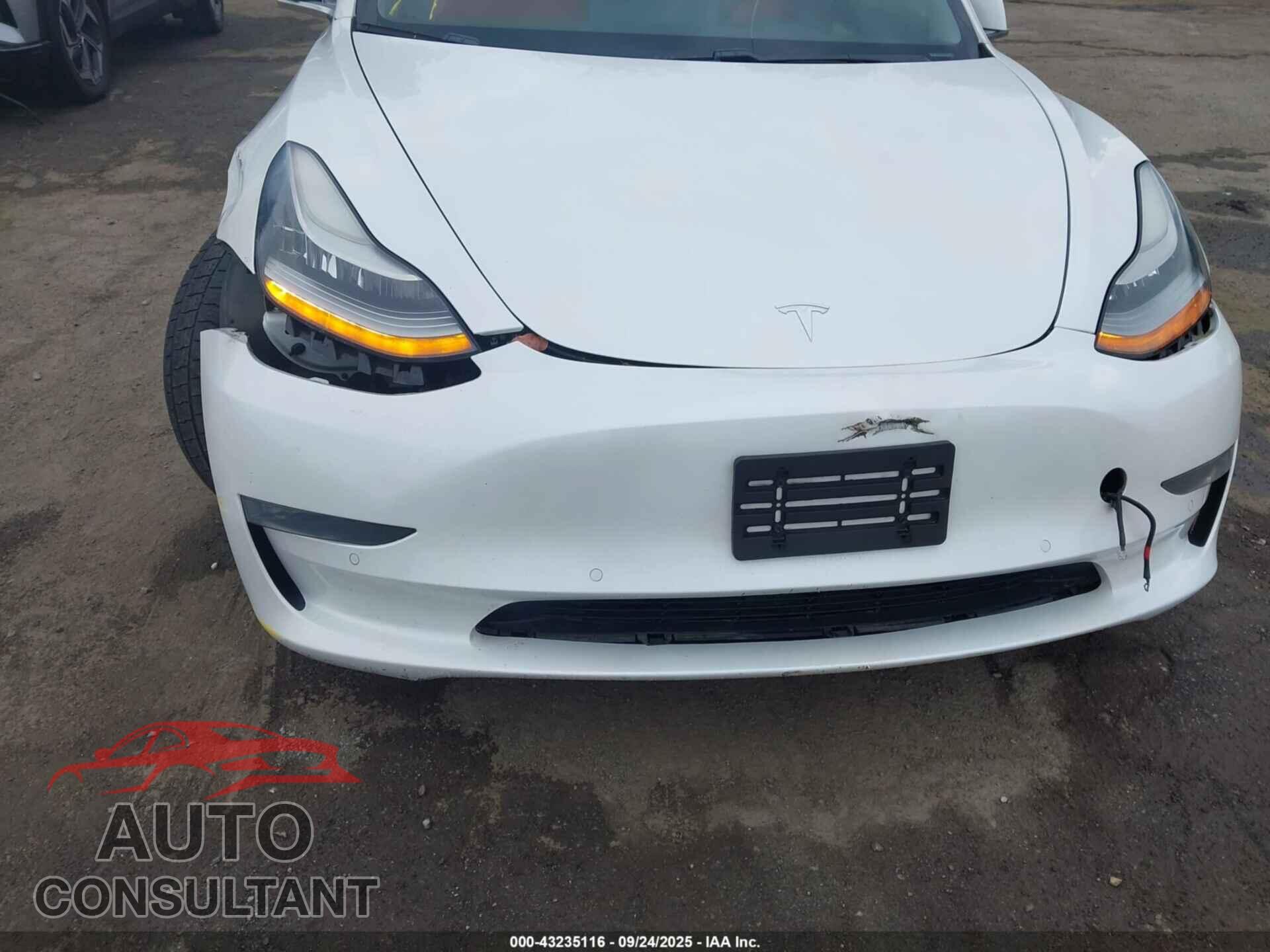 TESLA MODEL 3 2019 - 5YJ3E1EA1KF318011