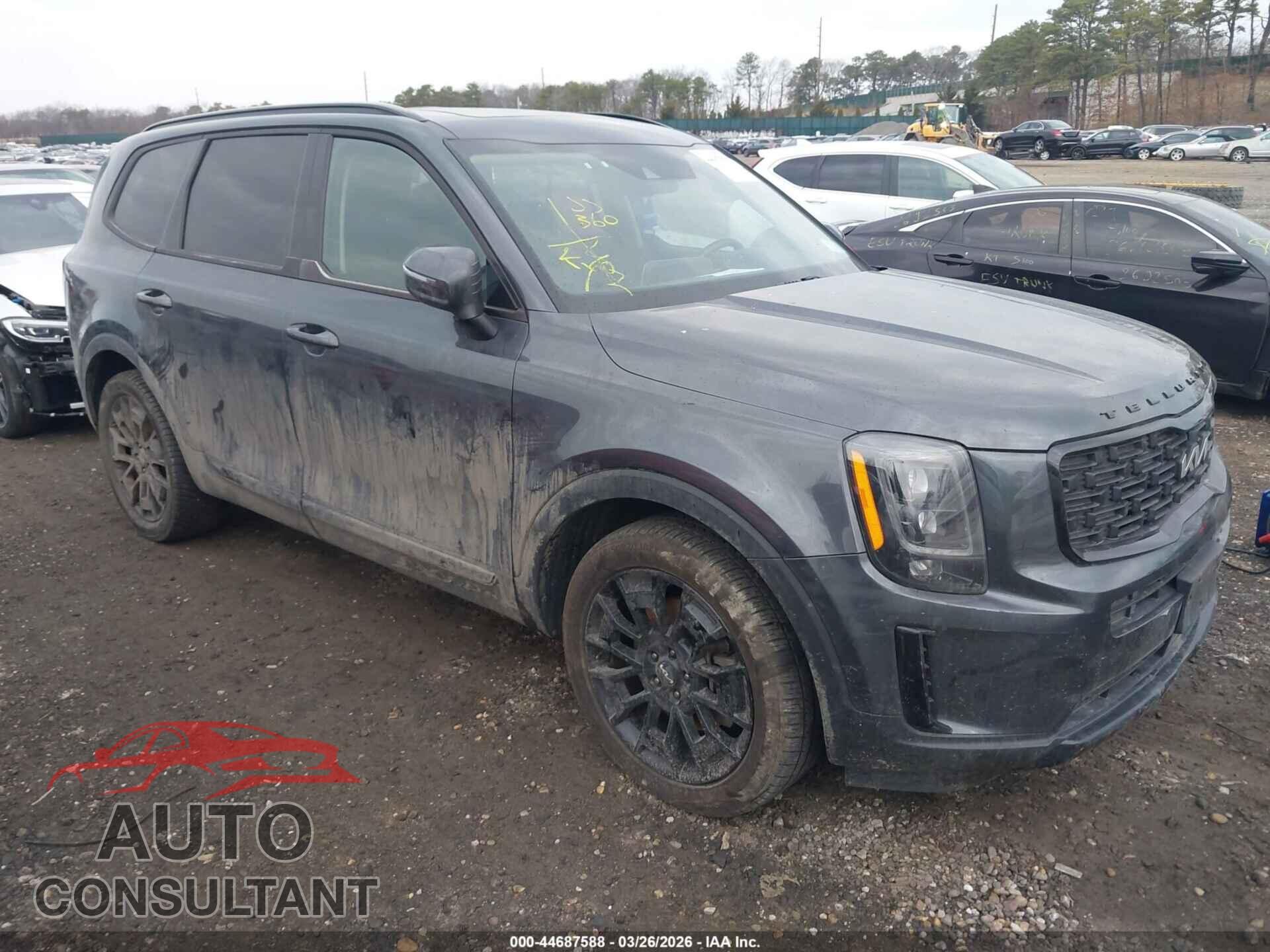 KIA TELLURIDE 2022 - 5XYP3DHC8NG216983