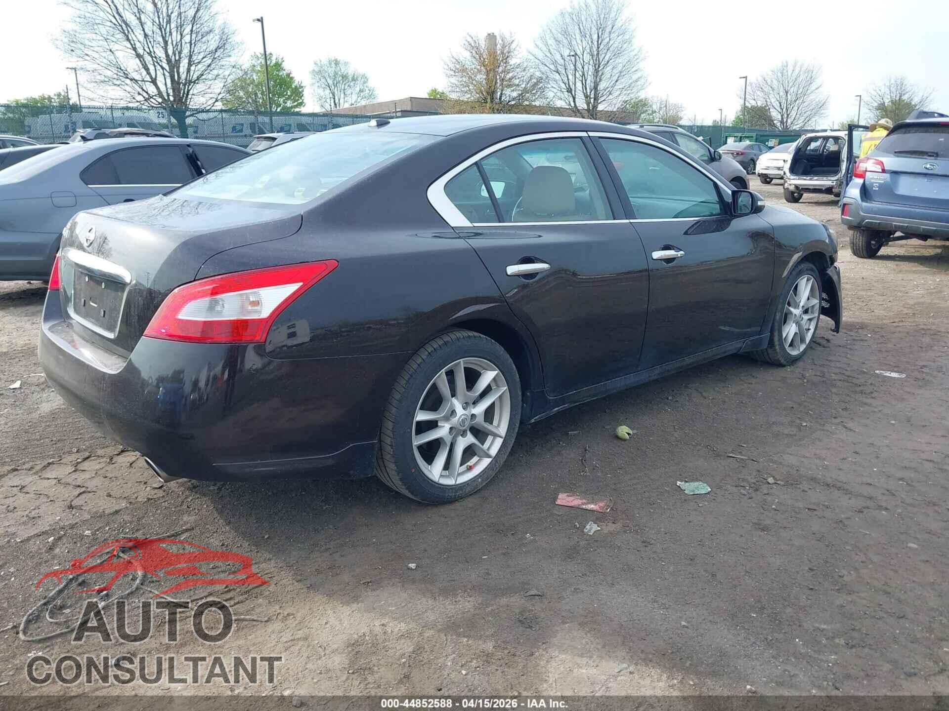 NISSAN MAXIMA 2011 - 1N4AA5AP1BC841441