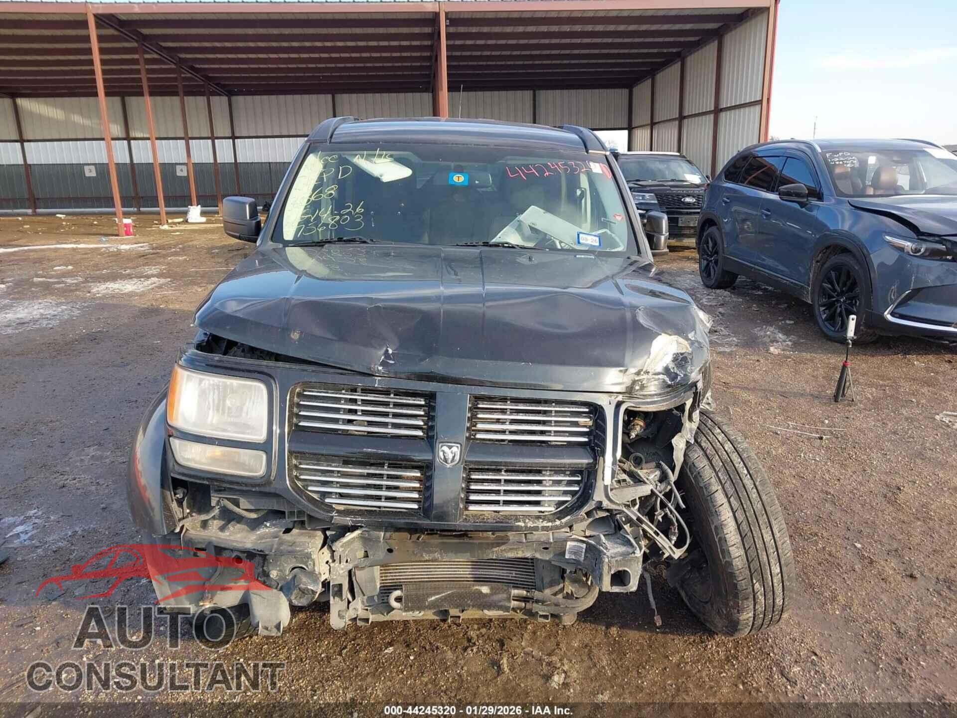 DODGE NITRO 2011 - 1D4PT5GK7BW561339