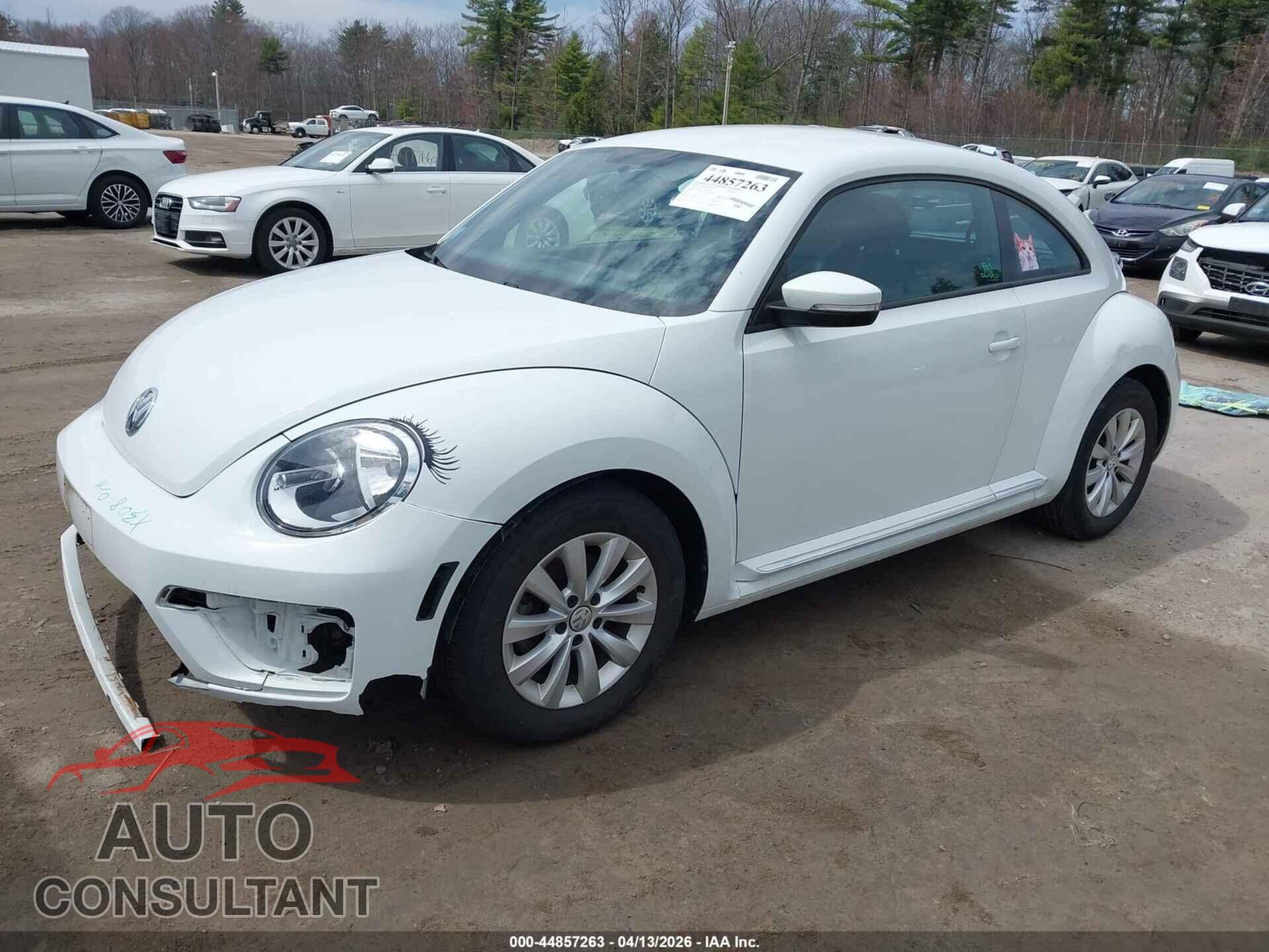 VOLKSWAGEN BEETLE 2019 - 3VWFD7AT1KM715849
