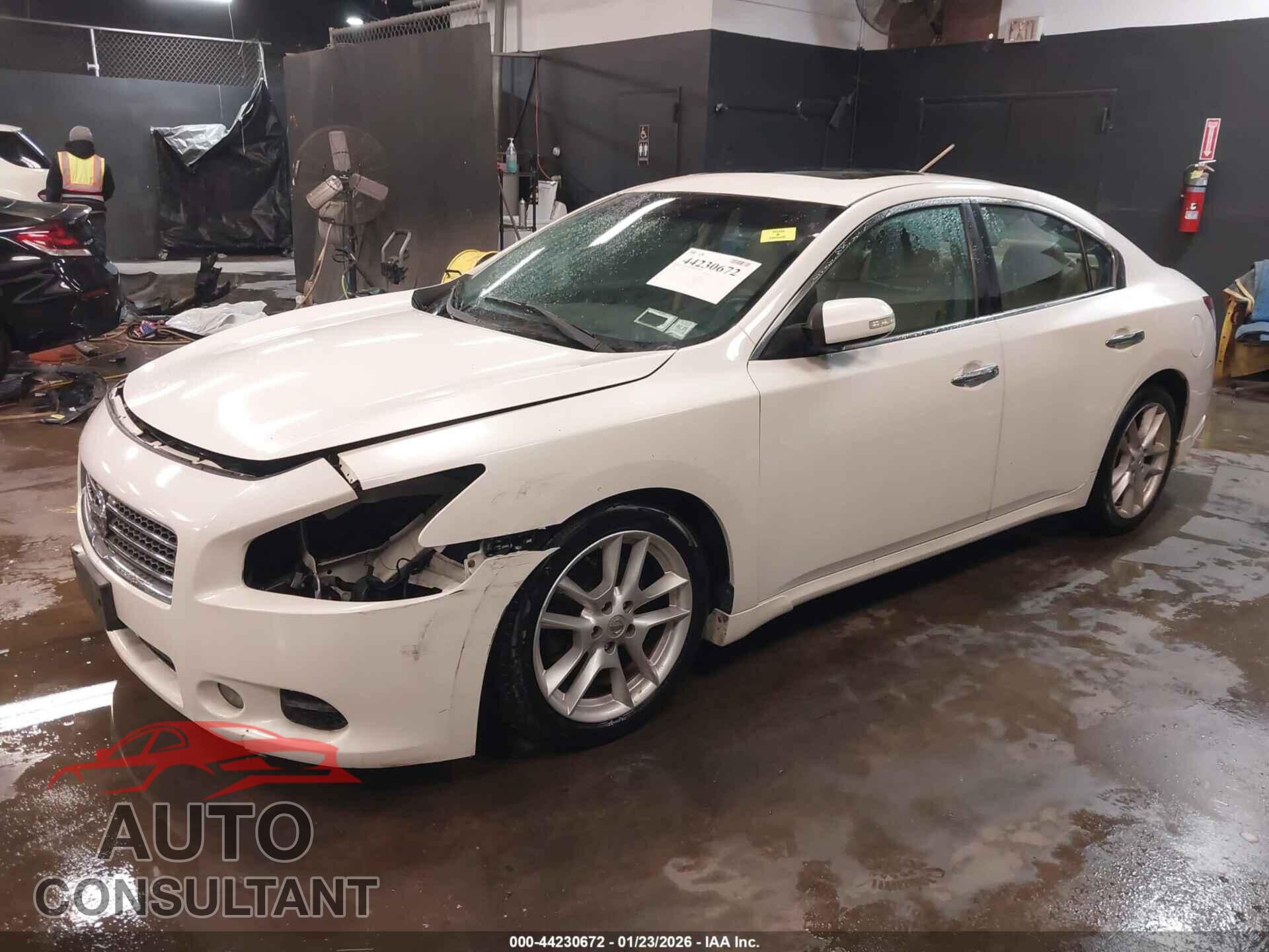 NISSAN MAXIMA 2009 - 1N4AA51E19C843215