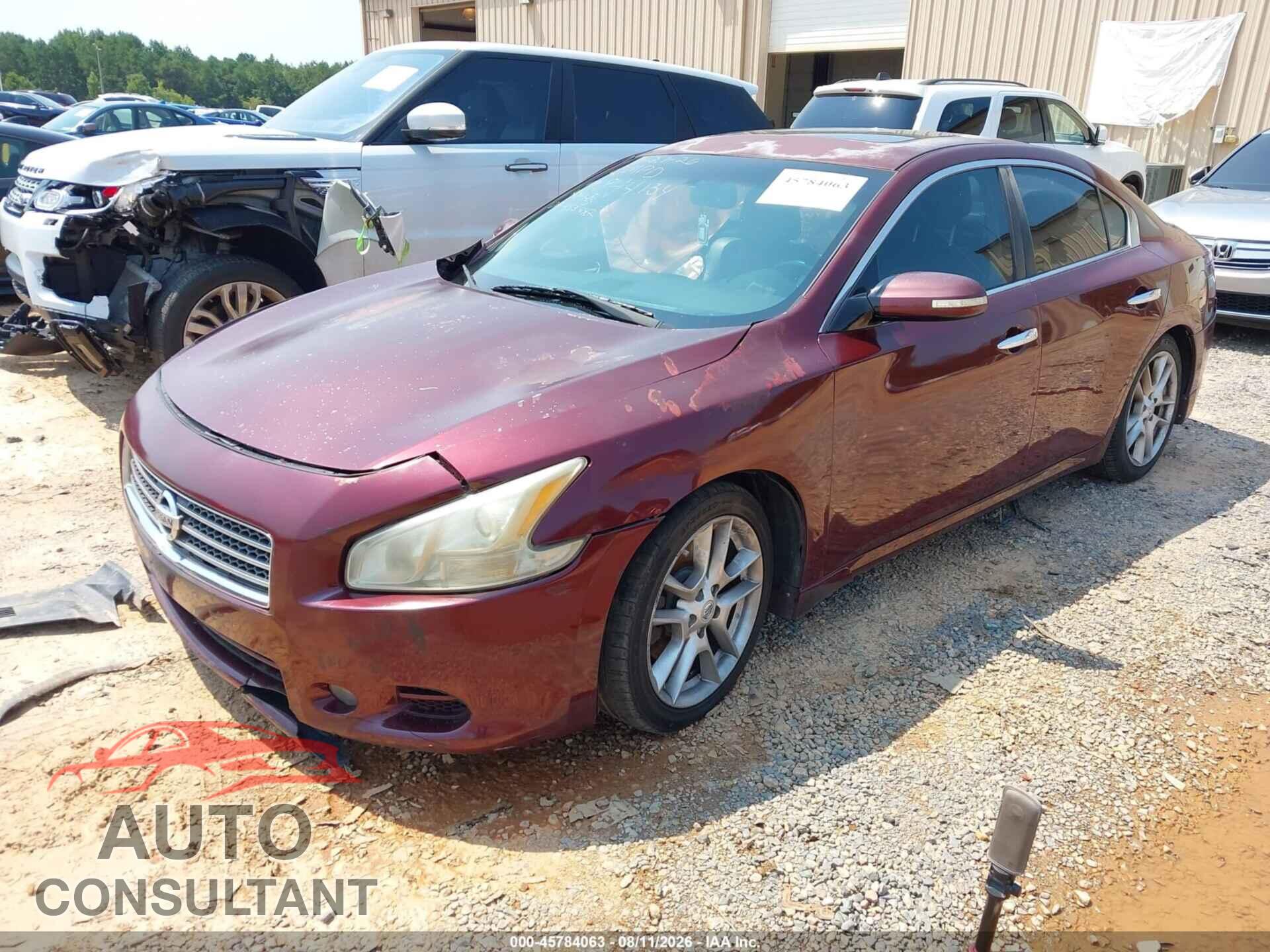 NISSAN MAXIMA 2011 - 1N4AA5AP7BC844134