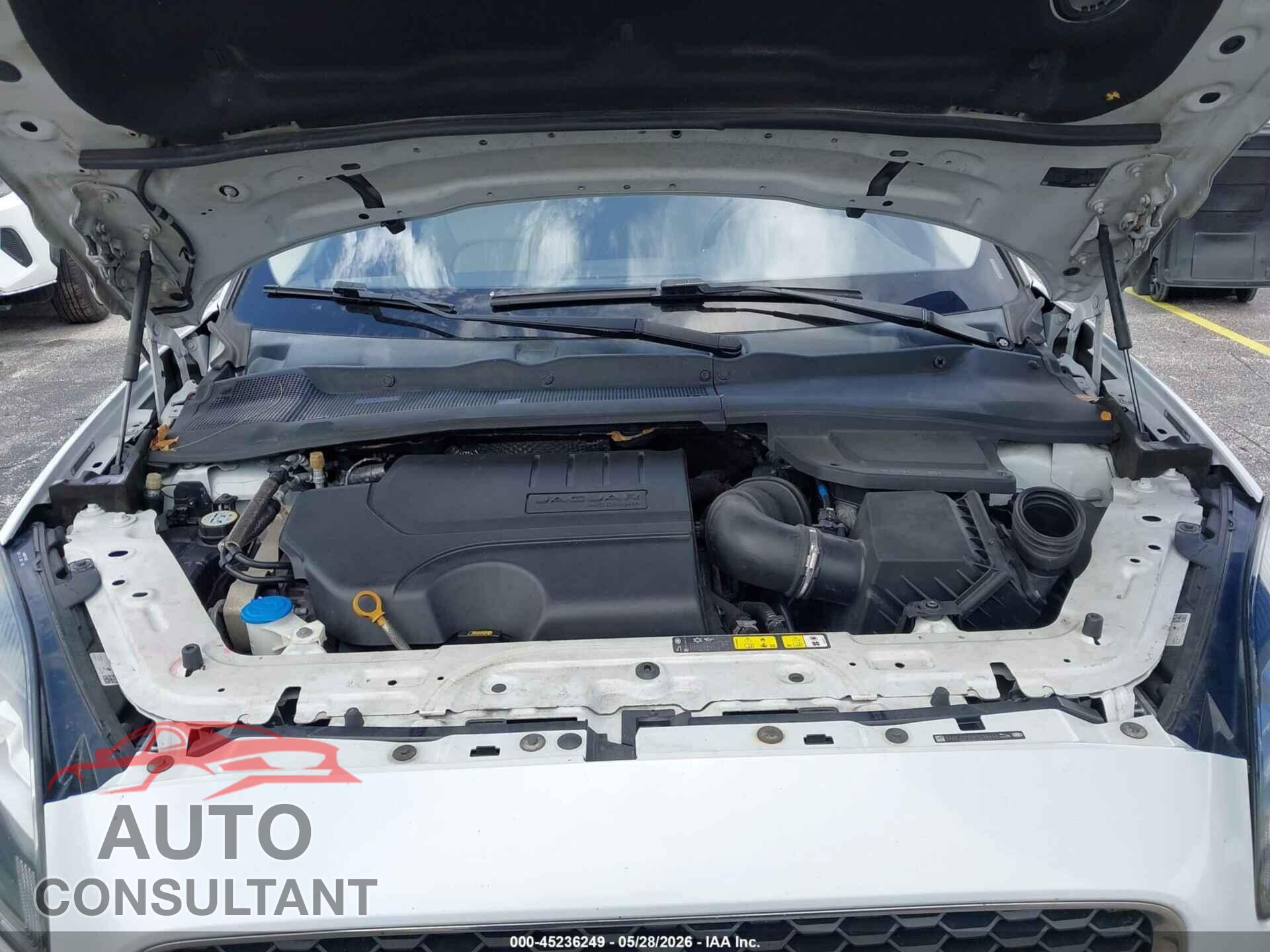 JAGUAR E-PACE 2019 - SADFJ2FX1K1Z36444