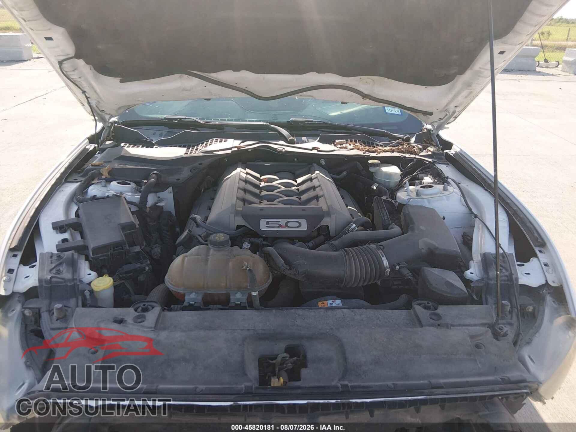FORD MUSTANG 2015 - 1FA6P8CF1F5393187