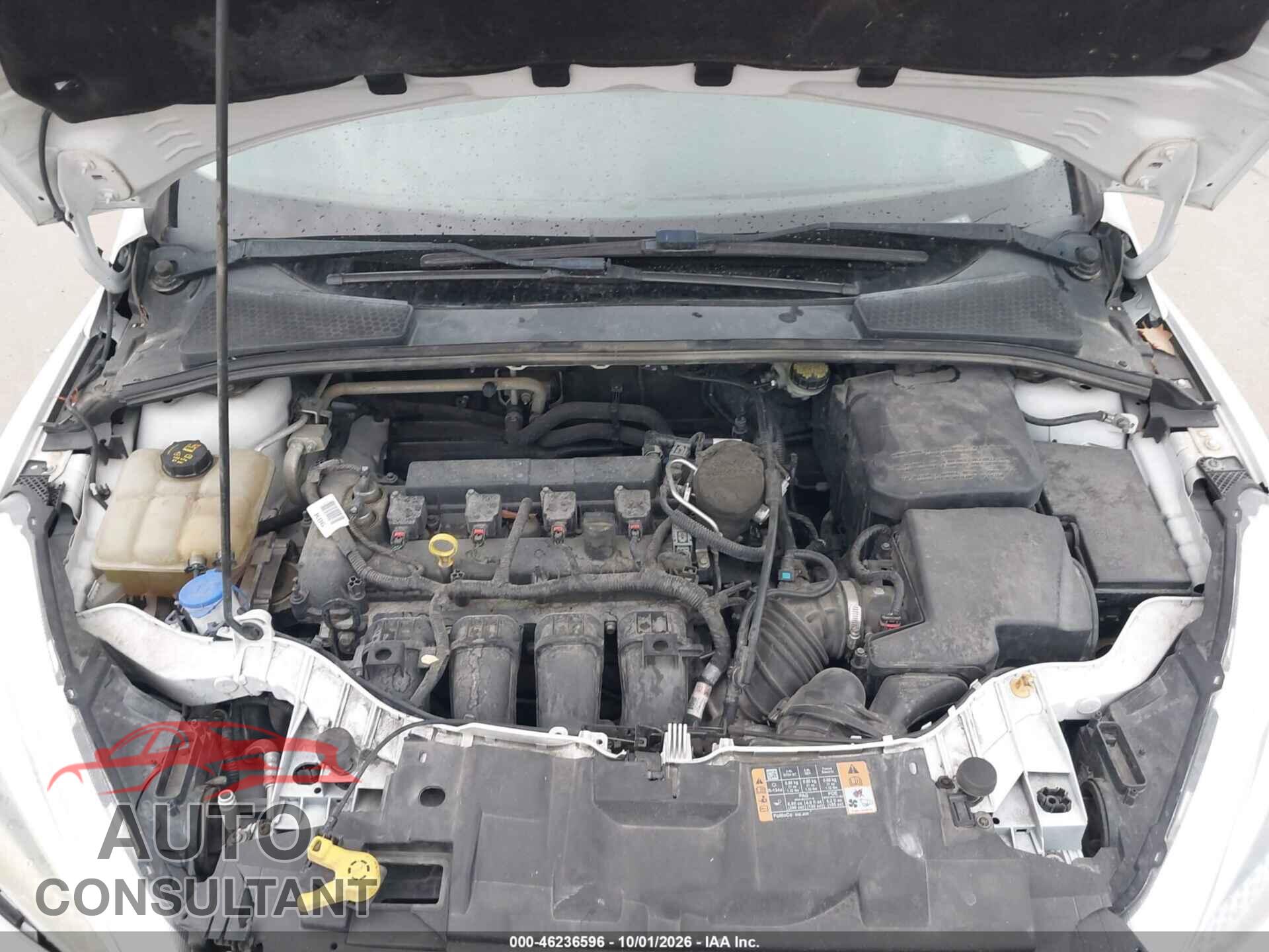 FORD FOCUS 2015 - 1FADP3F26FL205889