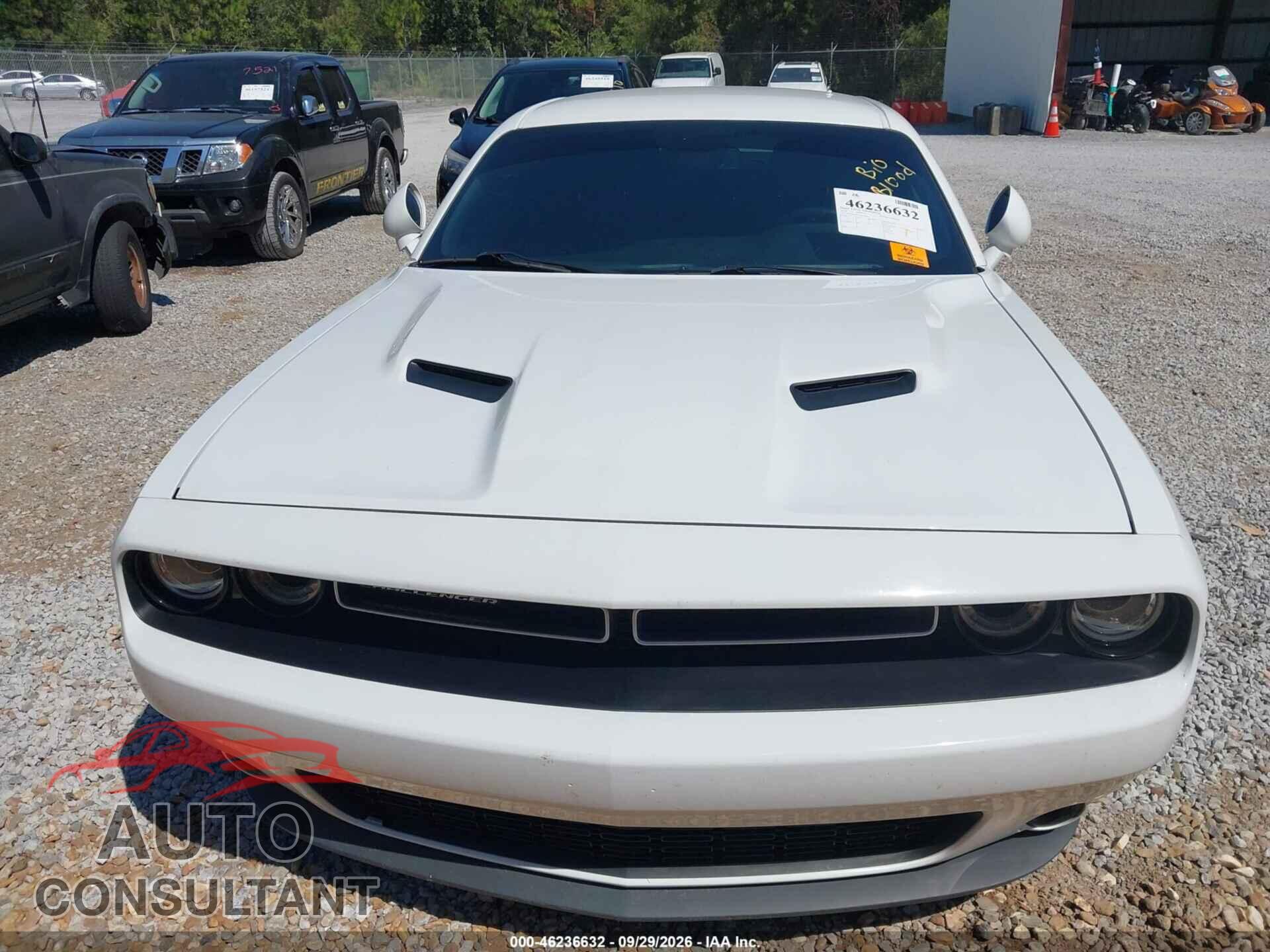 DODGE CHALLENGER 2019 - 2C3CDZAG9KH524445