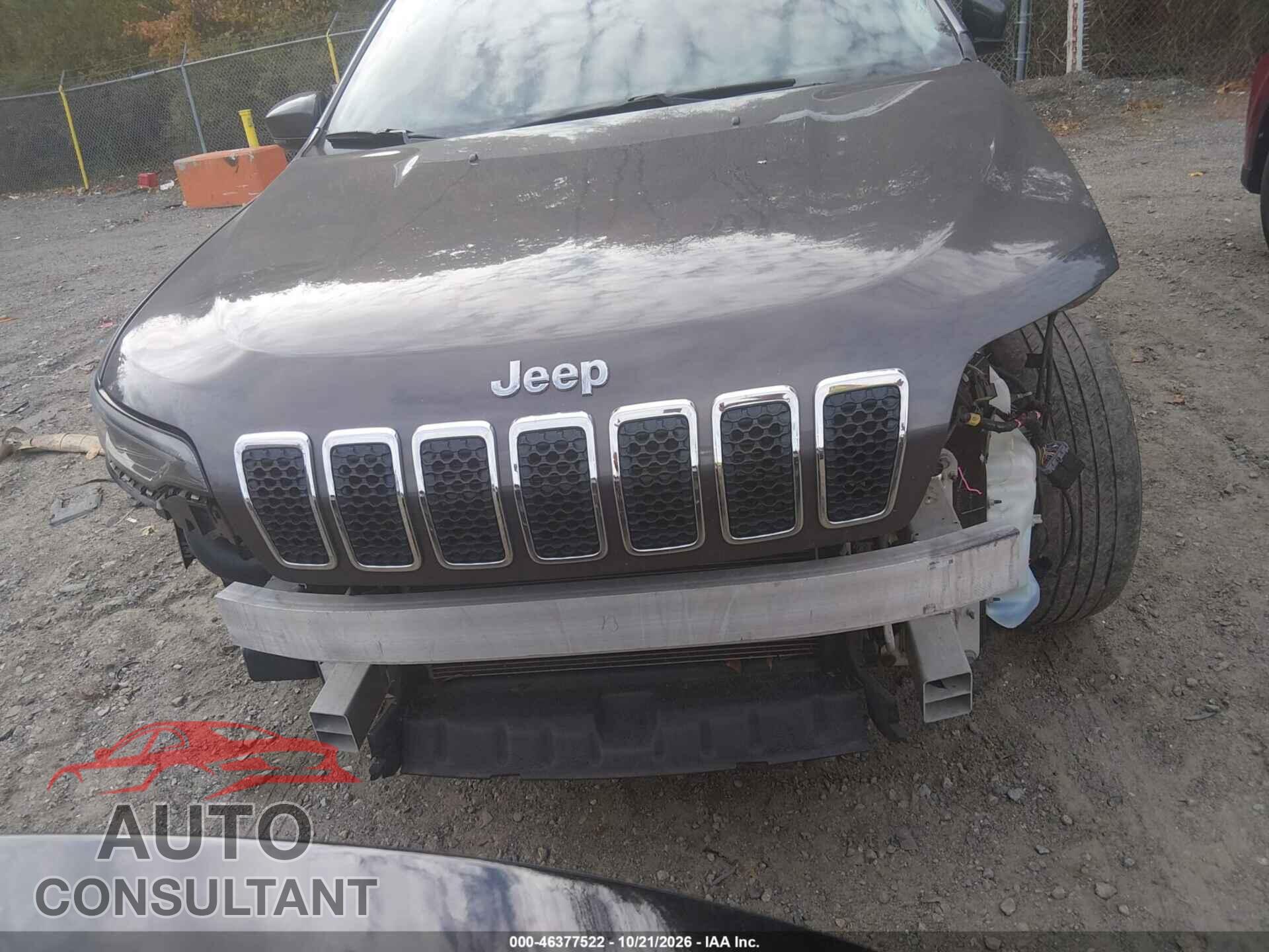 JEEP CHEROKEE 2019 - 1C4PJMDNXKD169964