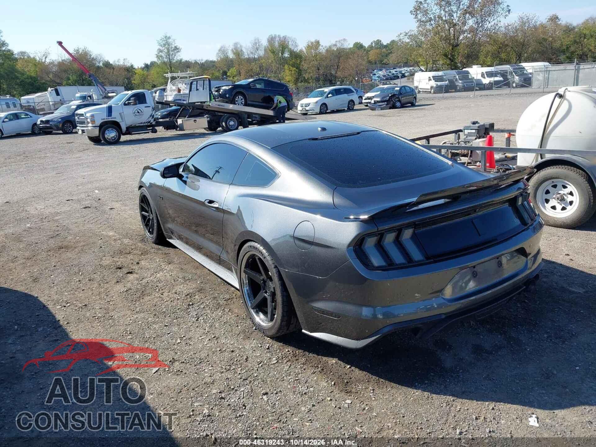 FORD MUSTANG 2019 - 1FA6P8CF2K5111777
