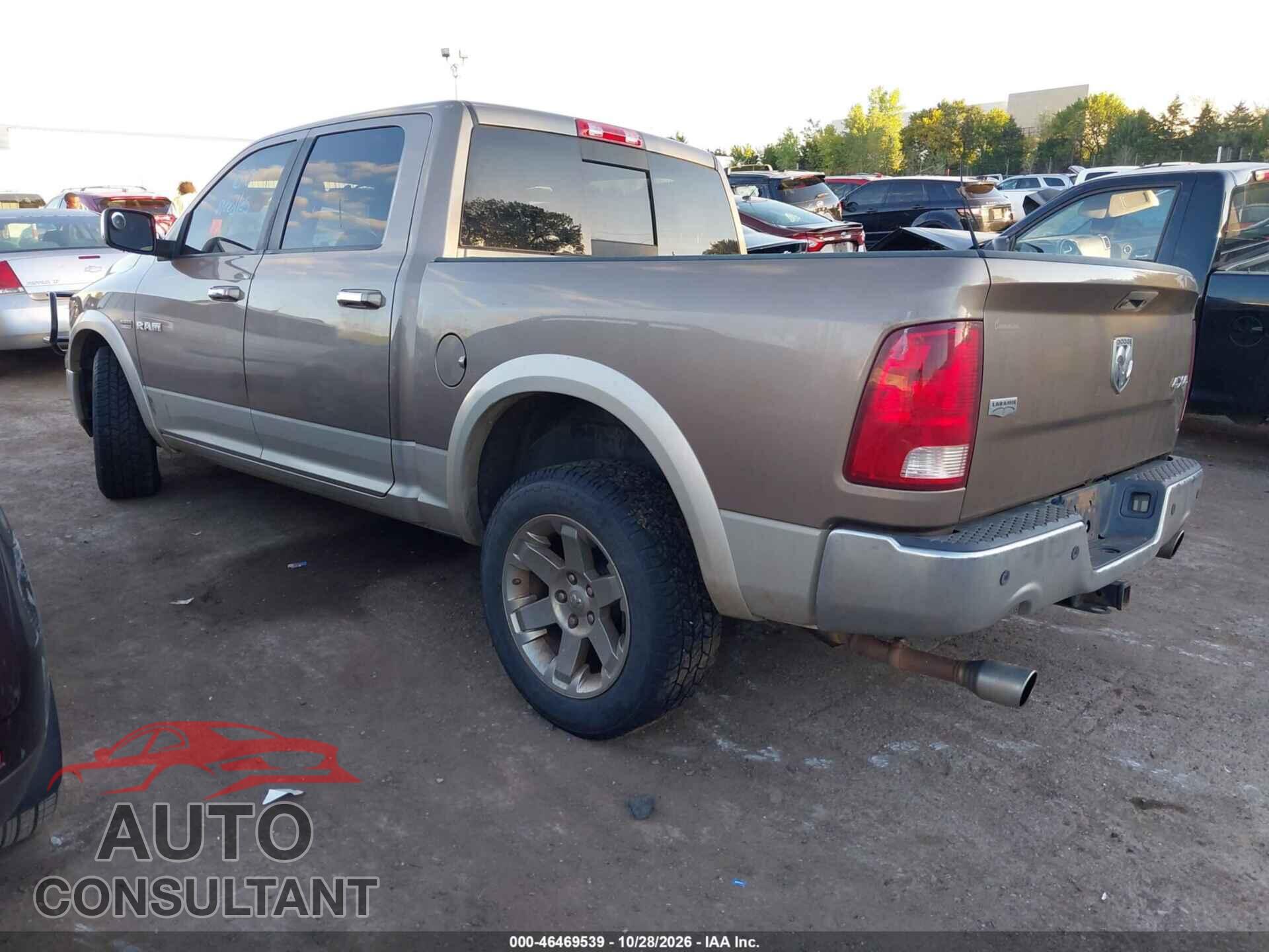 DODGE RAM 1500 2009 - 1D3HV13T89S785666