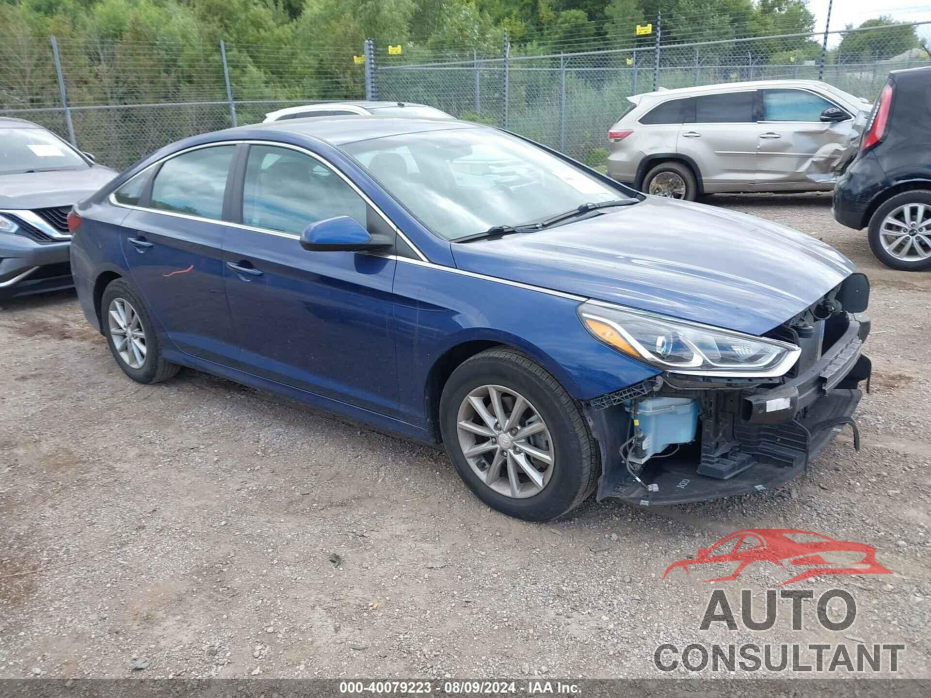 HYUNDAI SONATA 2019 - 5NPE24AF9KH772562