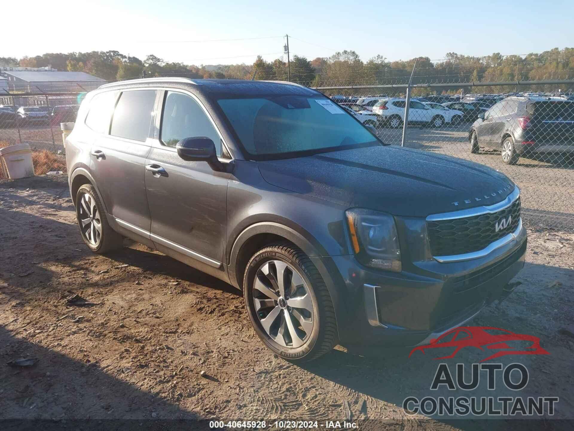 KIA TELLURIDE 2022 - 5XYP64HCXNG284130