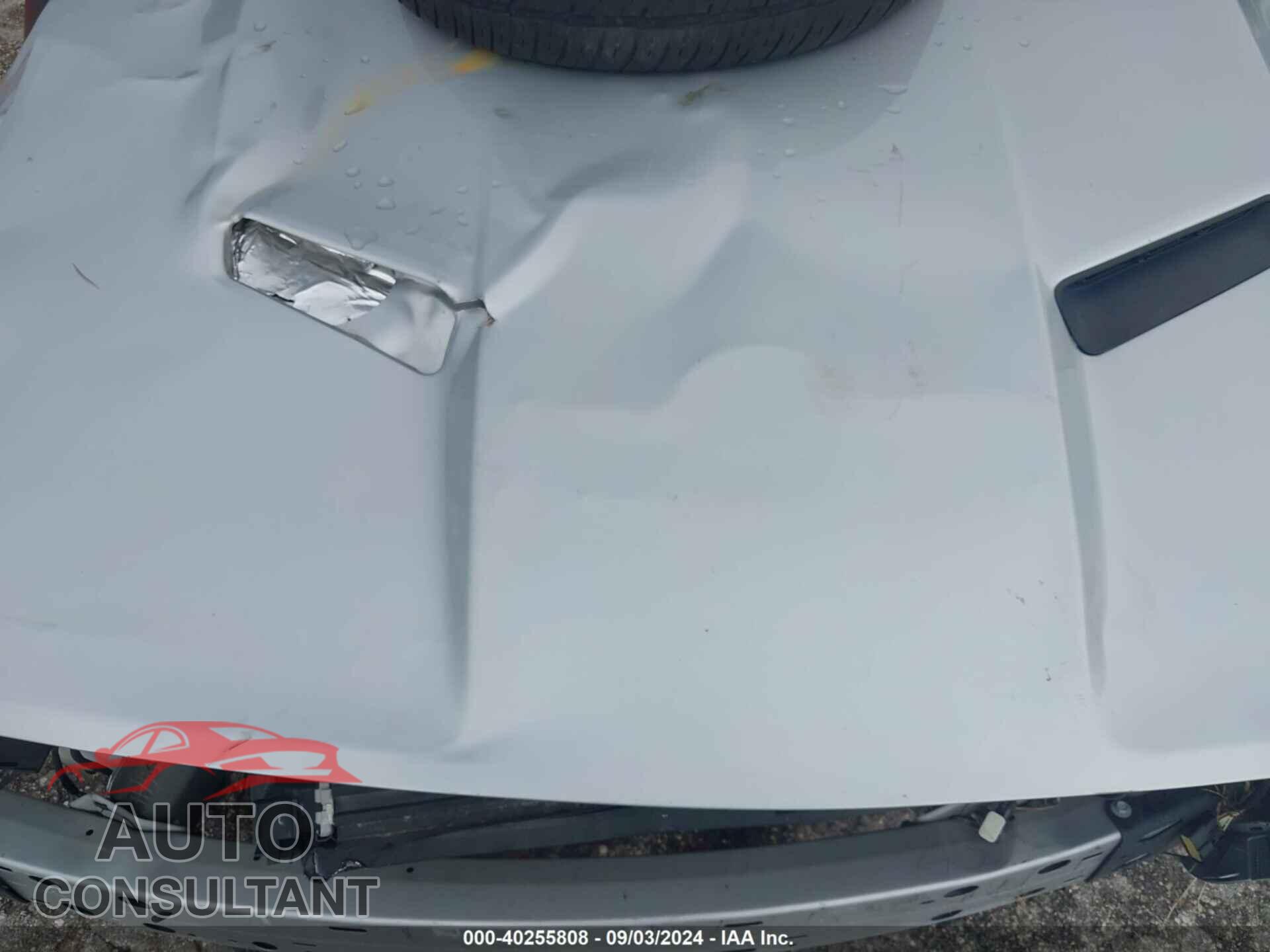 DODGE CHALLENGER 2019 - 2C3CDZAG1KH712182