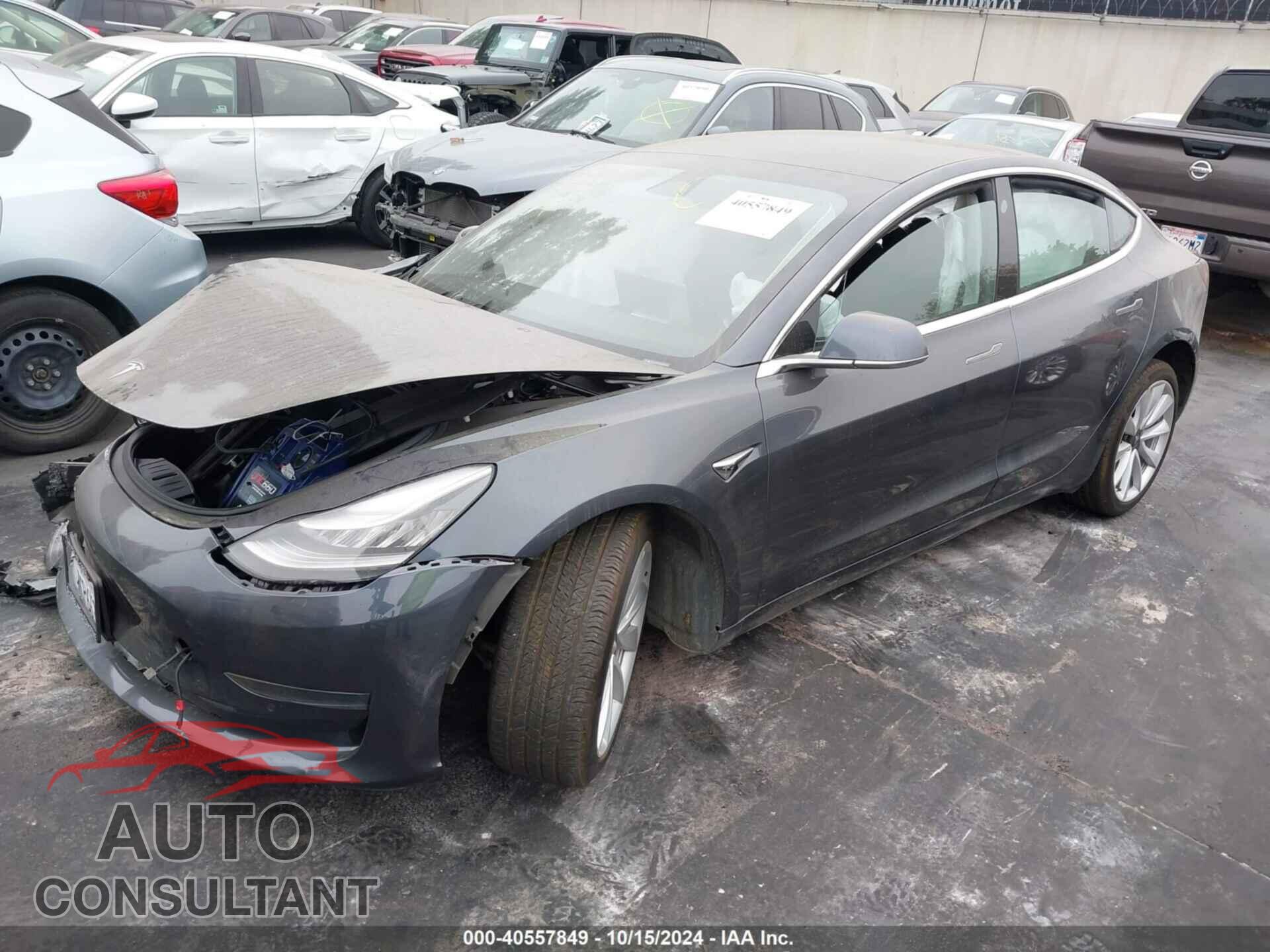 TESLA MODEL 3 2019 - 5YJ3E1EA9KF495289