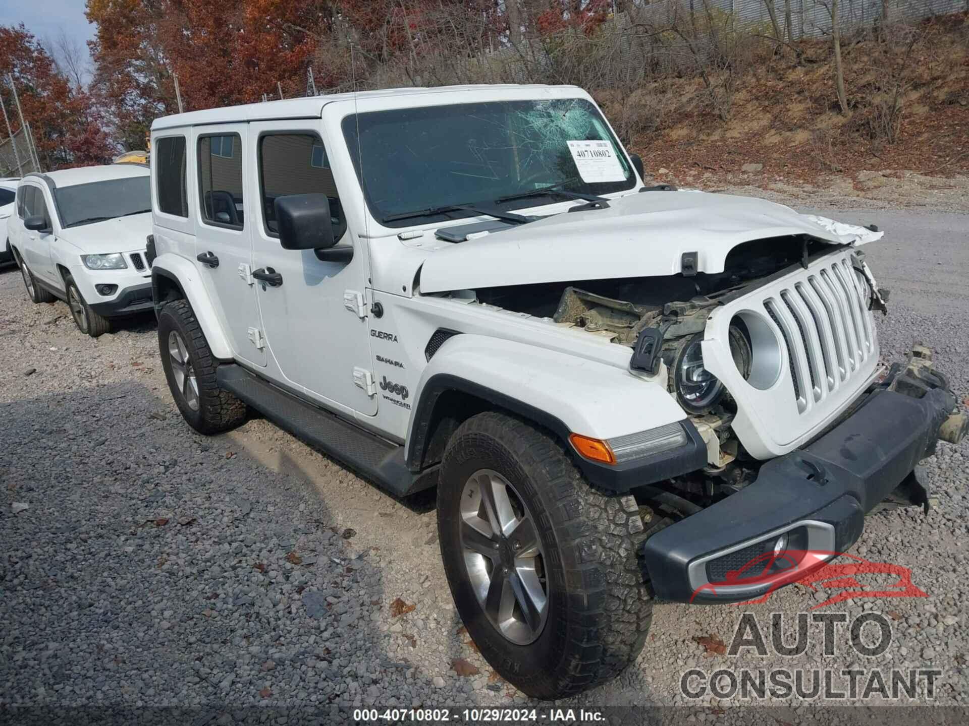 JEEP WRANGLER UNLIMITED 2020 - 1C4HJXEG5LW103530