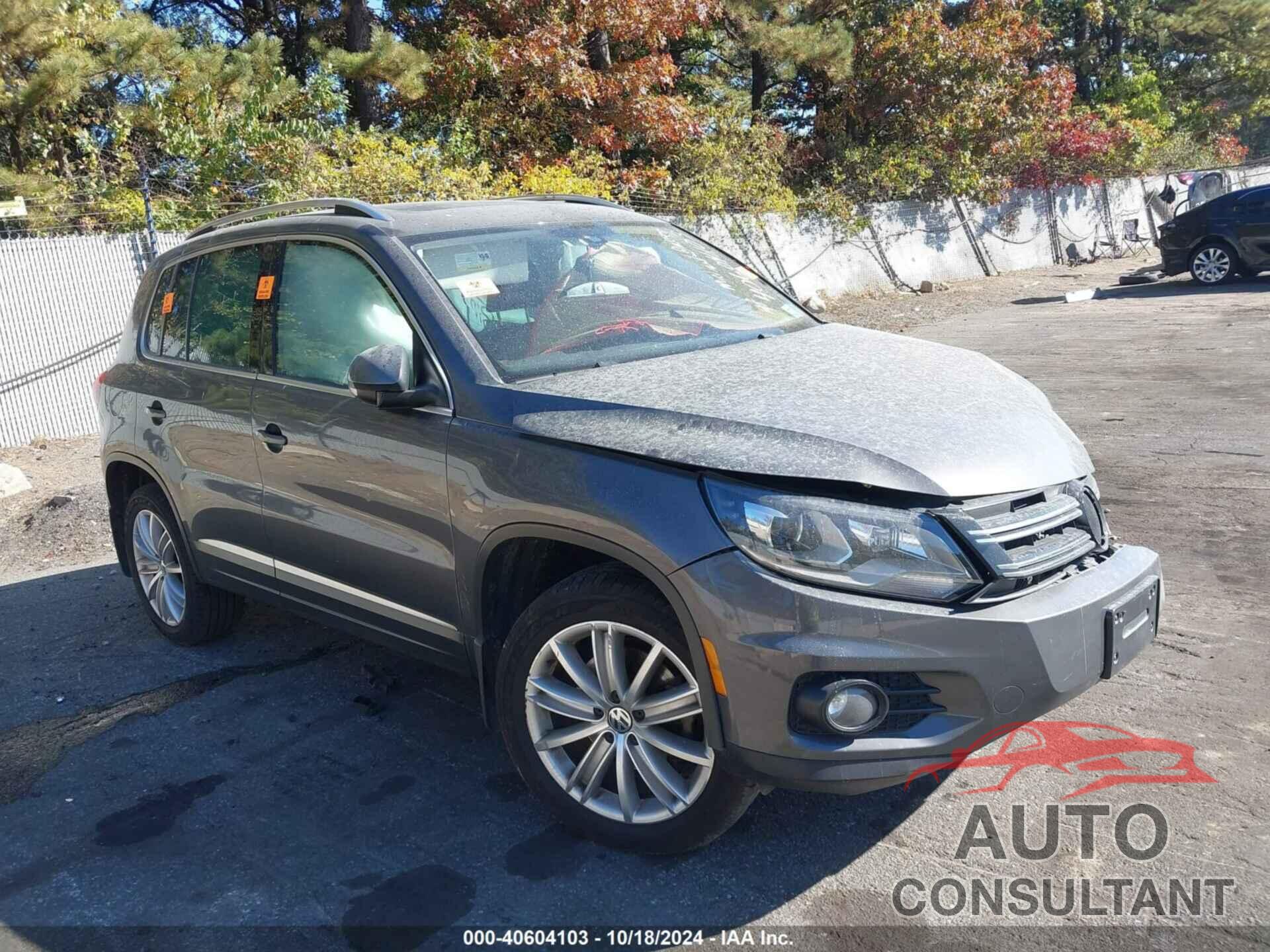 VOLKSWAGEN TIGUAN 2016 - WVGBV7AX1GW560286