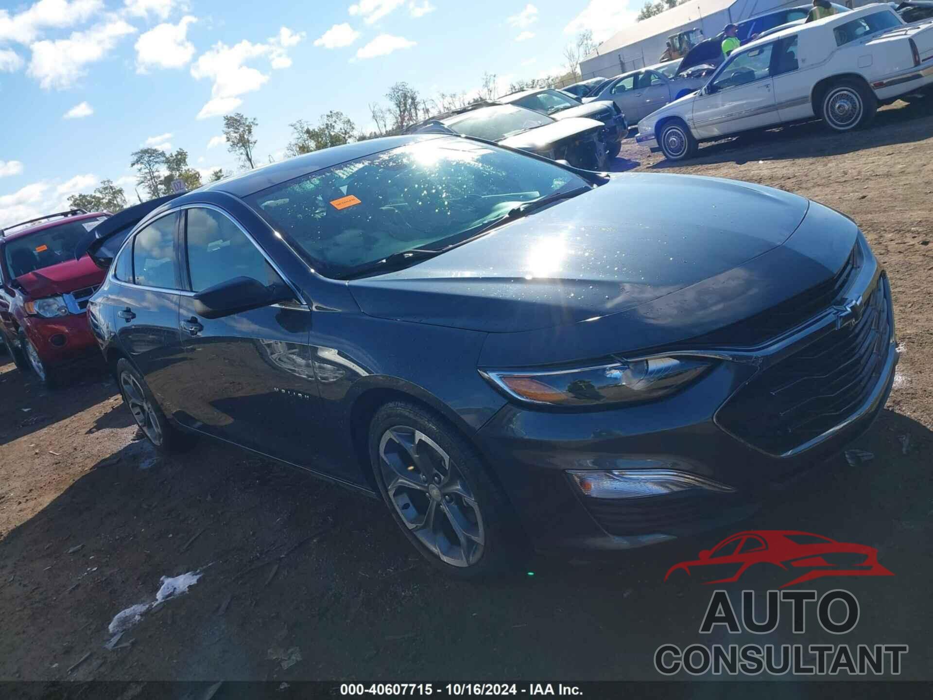 CHEVROLET MALIBU 2019 - 1G1ZG5ST6KF219870