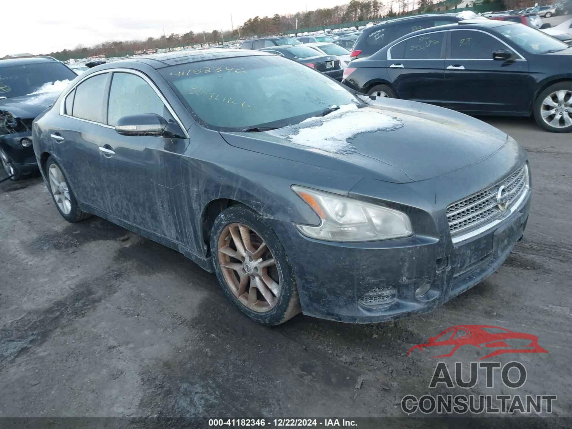 NISSAN MAXIMA 2010 - 1N4AA5AP9AC822392