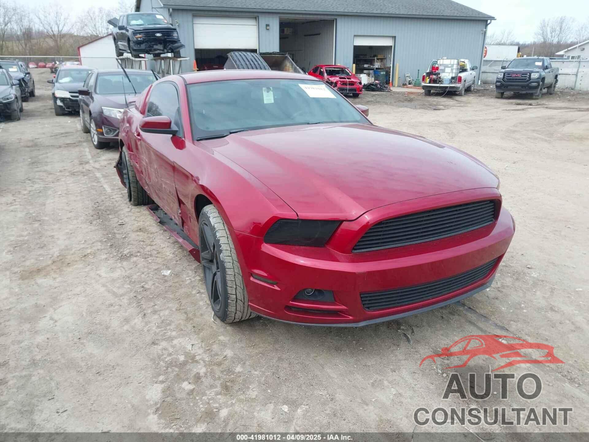 FORD MUSTANG 2014 - 1ZVBP8AM0E5272947