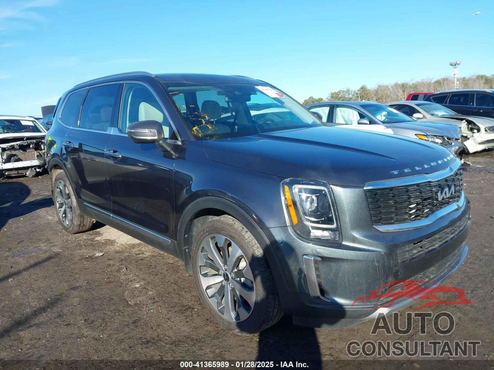 KIA TELLURIDE 2022 - 5XYP6DHC0NG236247