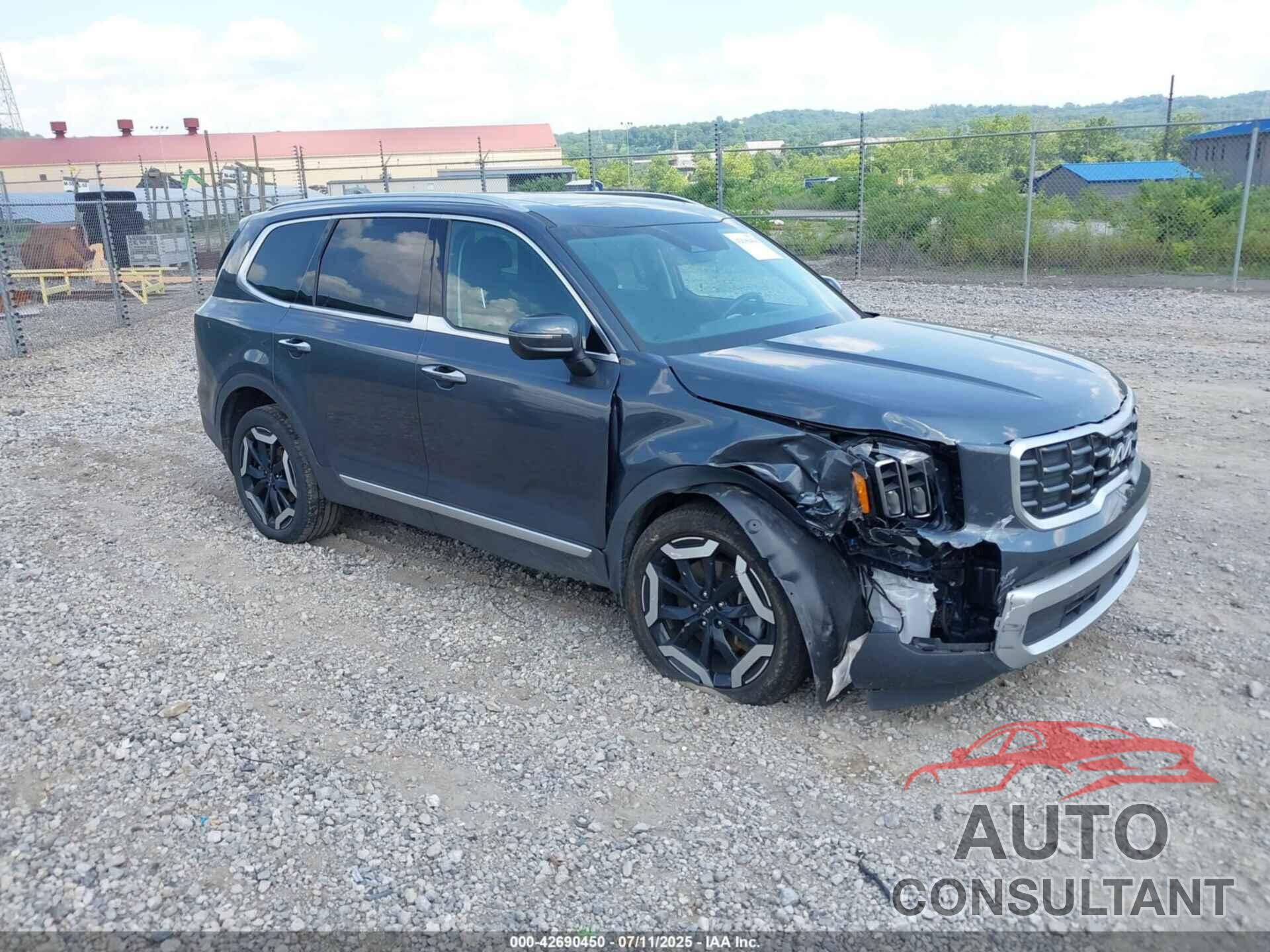 KIA TELLURIDE 2024 - 5XYP6DGC5RG478359