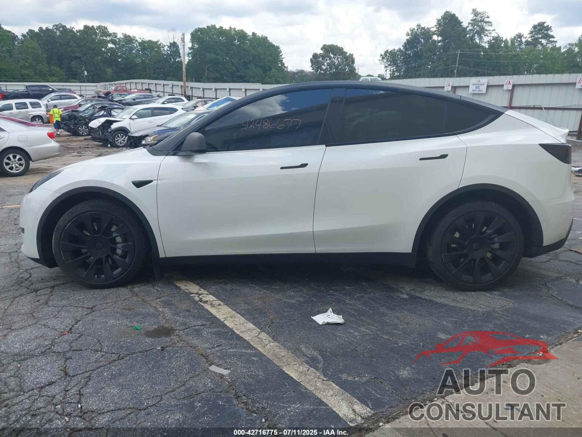 TESLA MODEL Y 2022 - 7SAYGDEE6NF364669