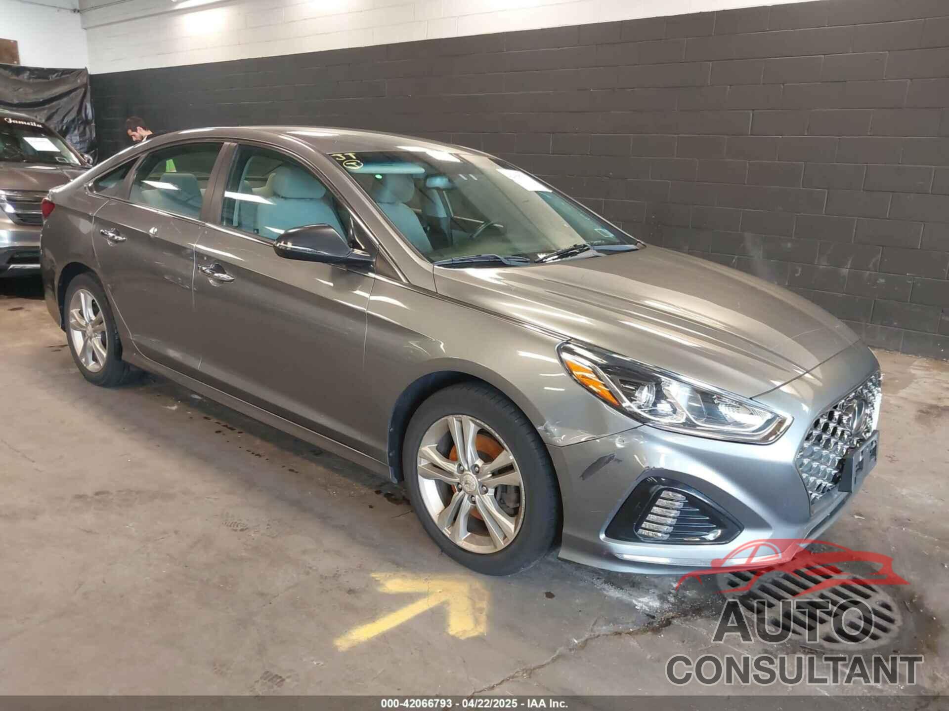 HYUNDAI SONATA 2019 - 5NPE34AF0KH774309