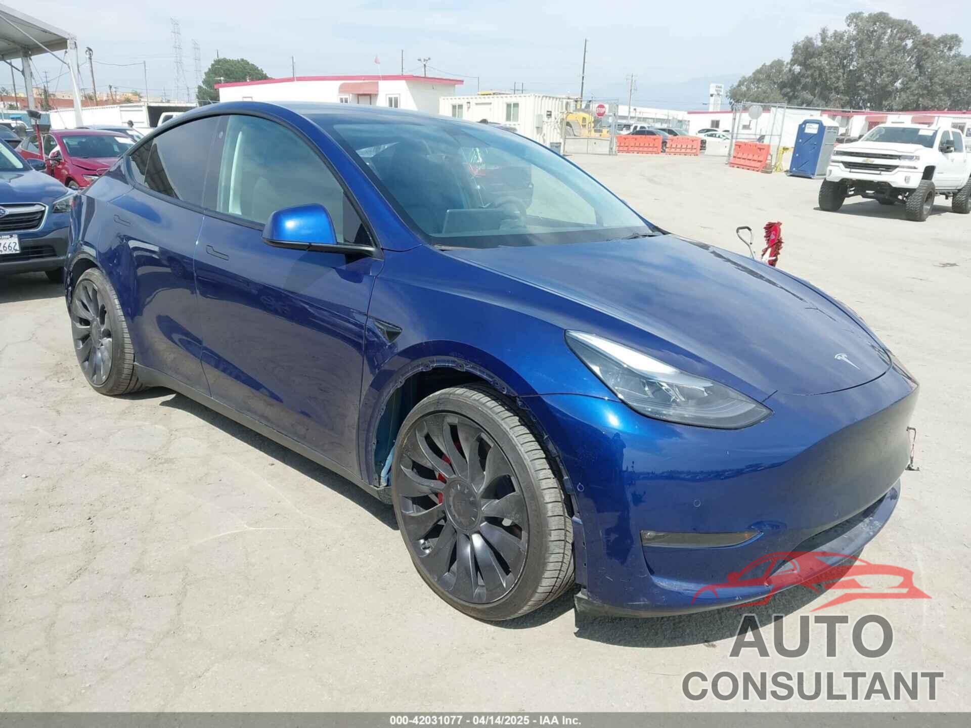 TESLA MODEL Y 2022 - 7SAYGDEF1NF538544