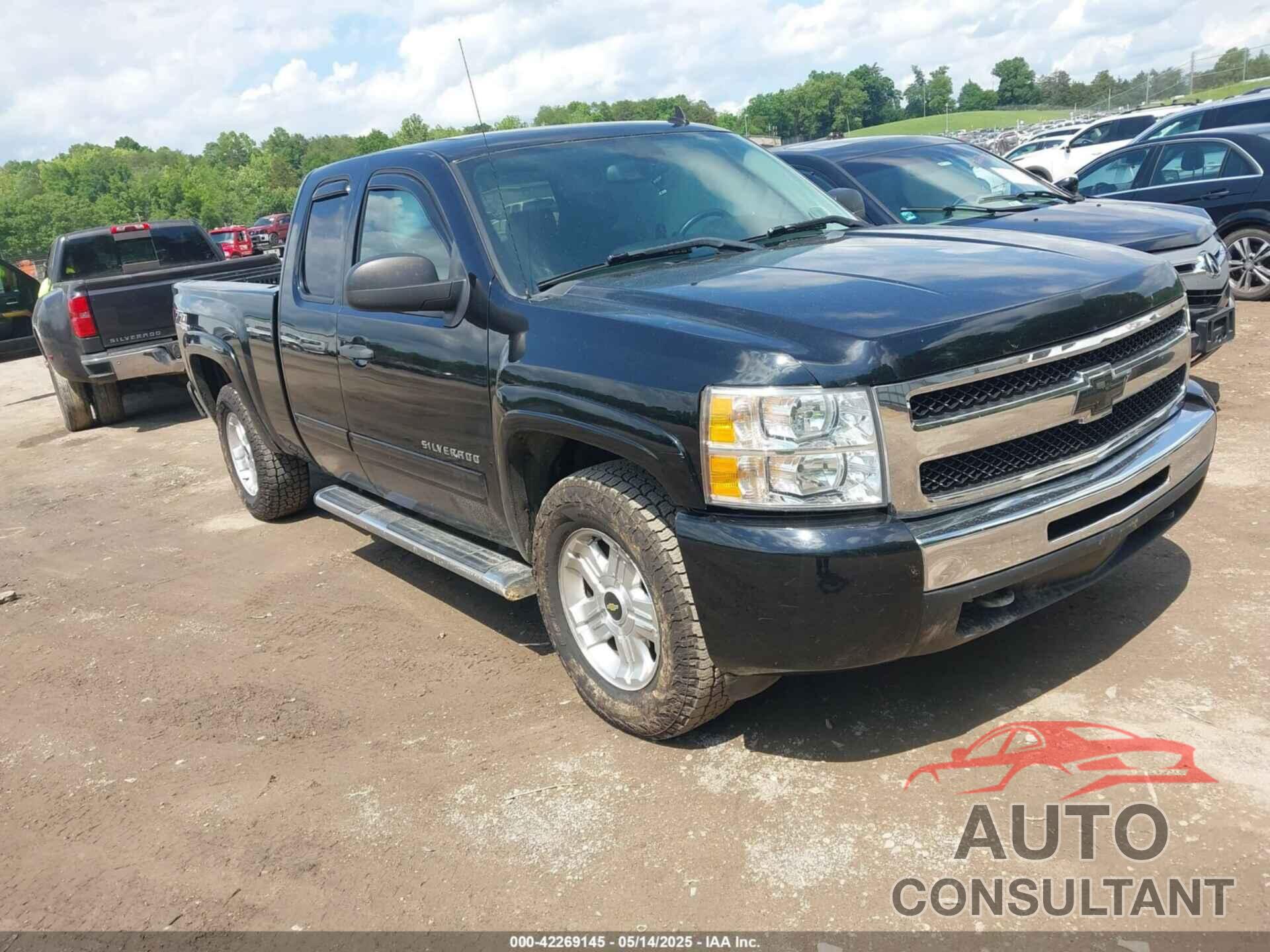CHEVROLET SILVERADO 1500 2010 - 1GCSKSE32AZ173985