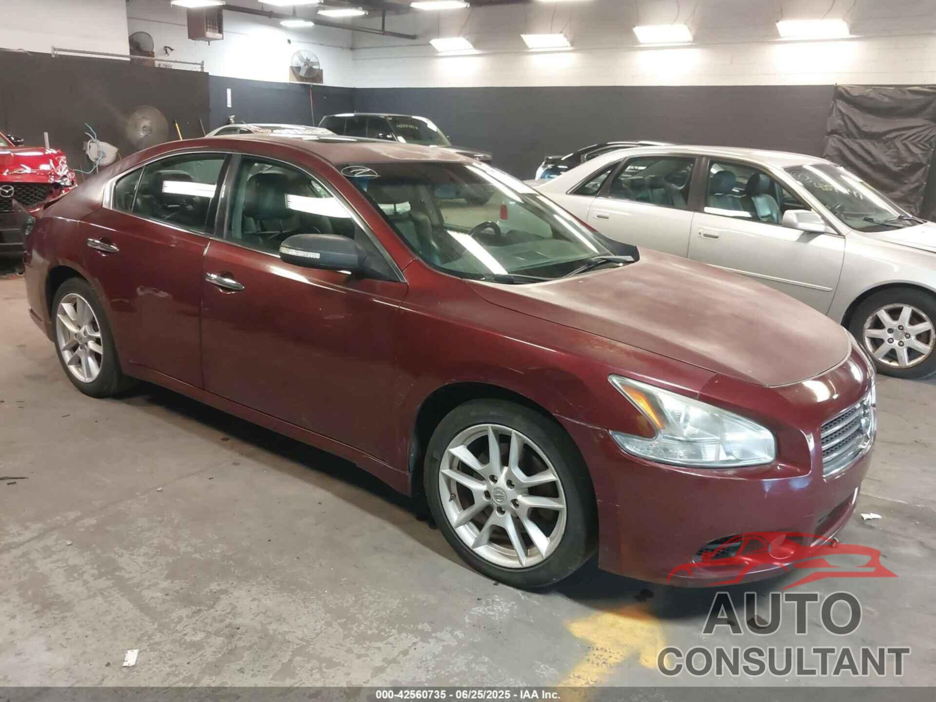 NISSAN MAXIMA 2010 - 1N4AA5AP7AC811035