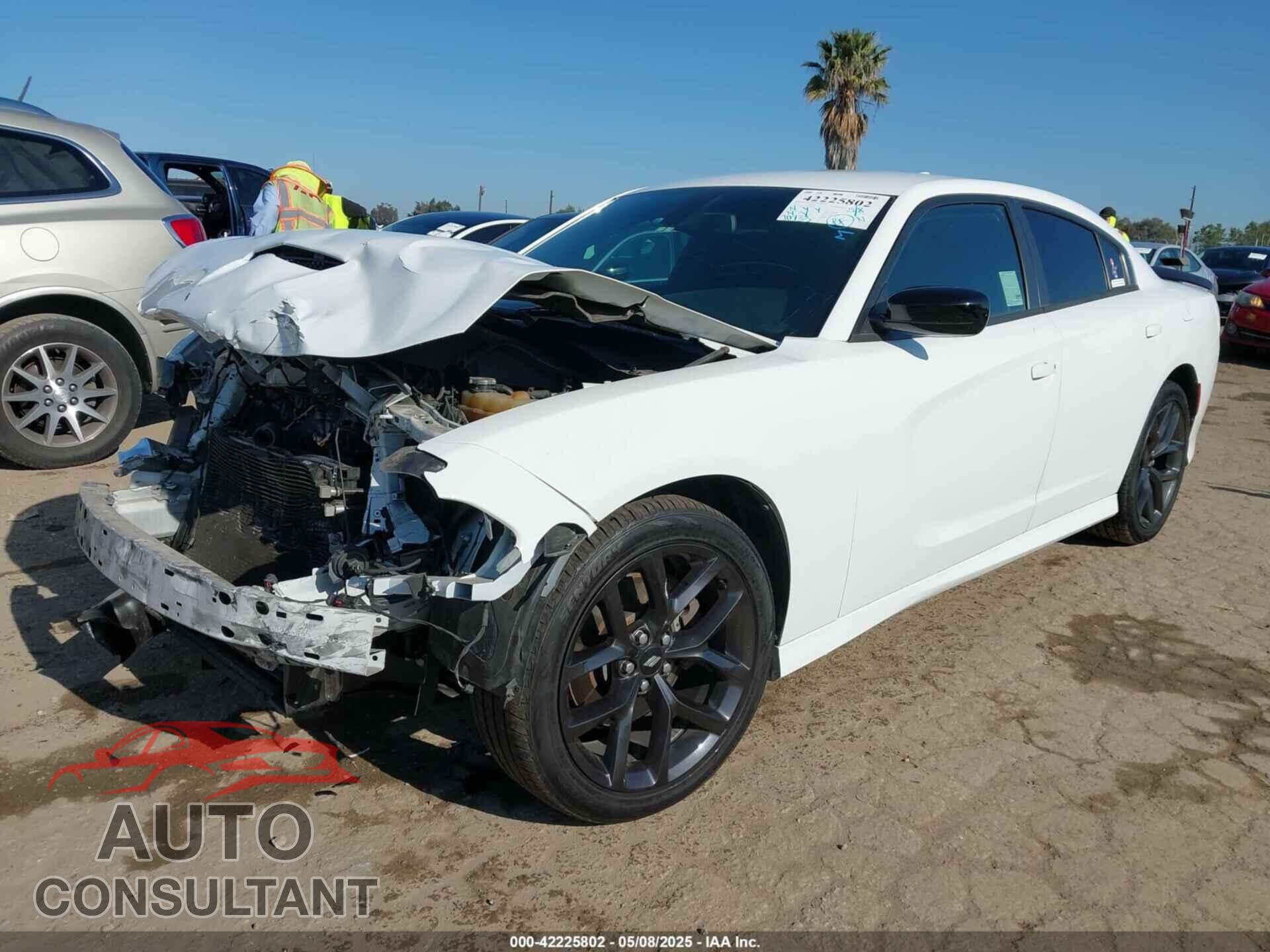 DODGE CHARGER 2019 - 2C3CDXHGXKH619512