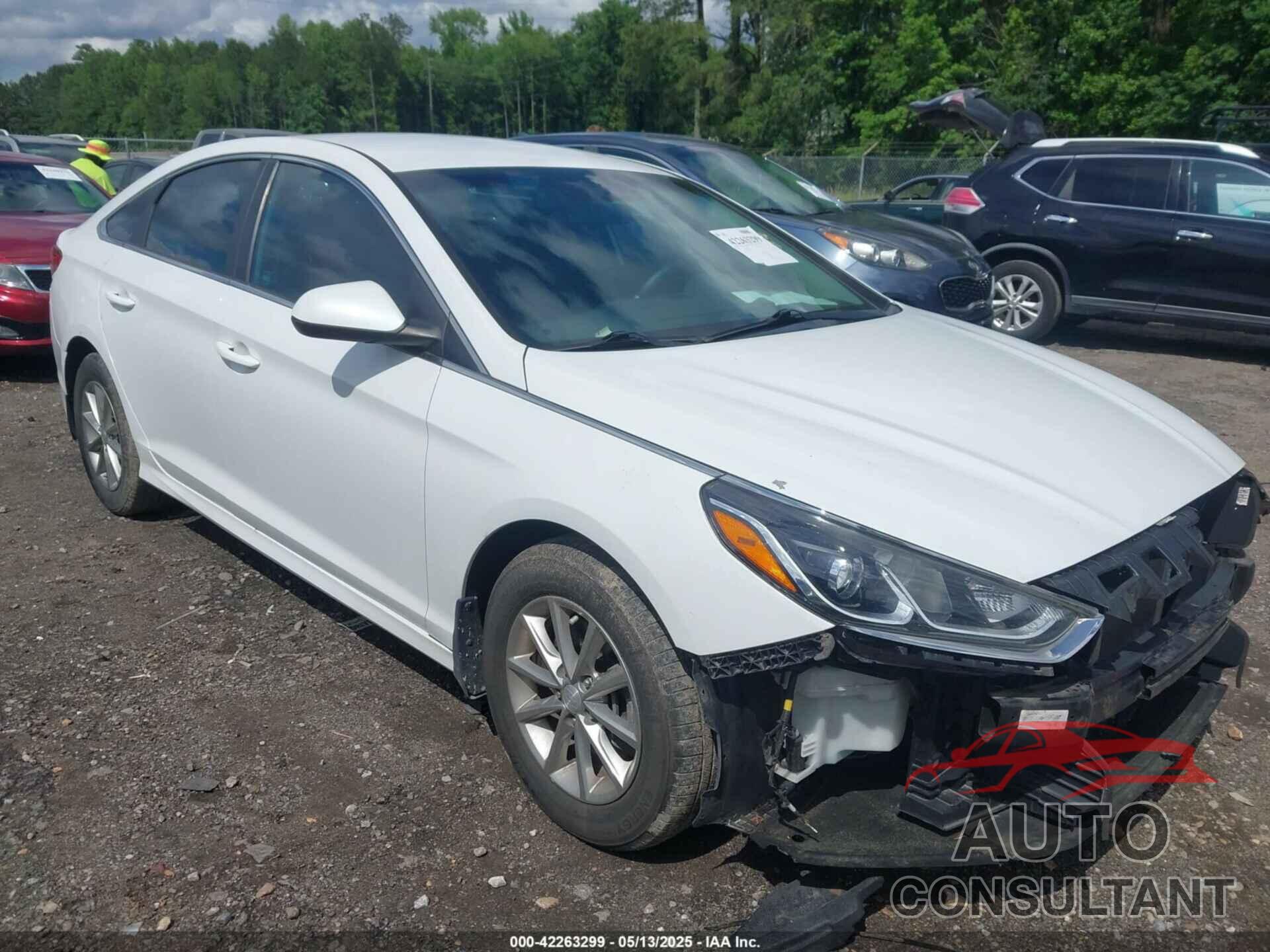 HYUNDAI SONATA 2019 - 5NPE24AF3KH803241