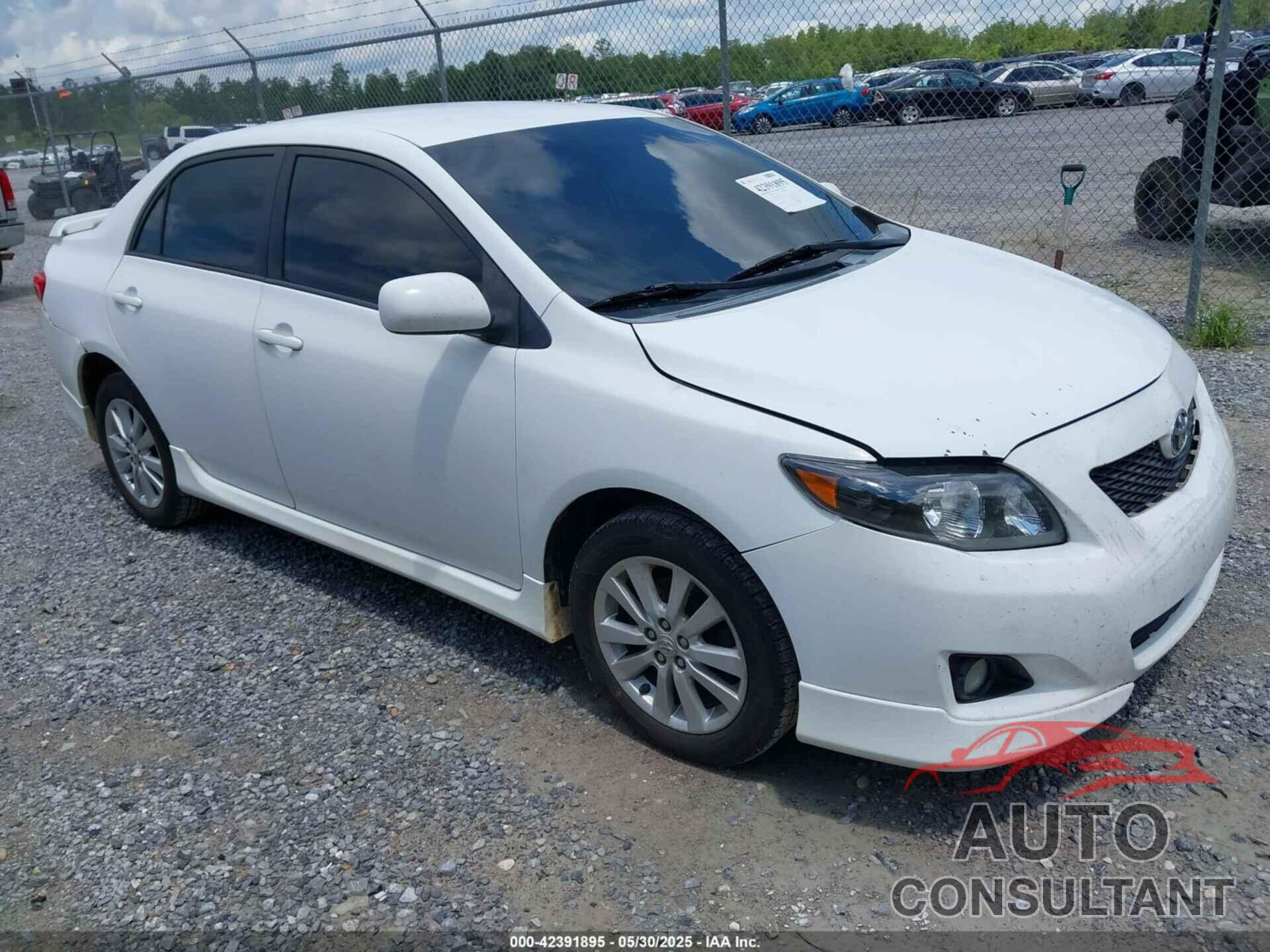 TOYOTA COROLLA 2010 - 2T1BU4EE6AC355044