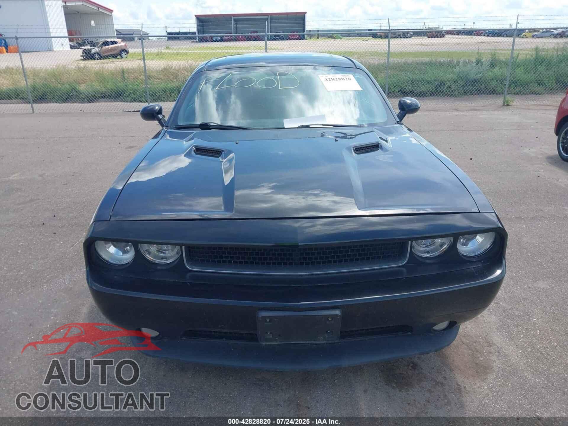 DODGE CHALLENGER 2013 - 2C3CDYBT4DH561850