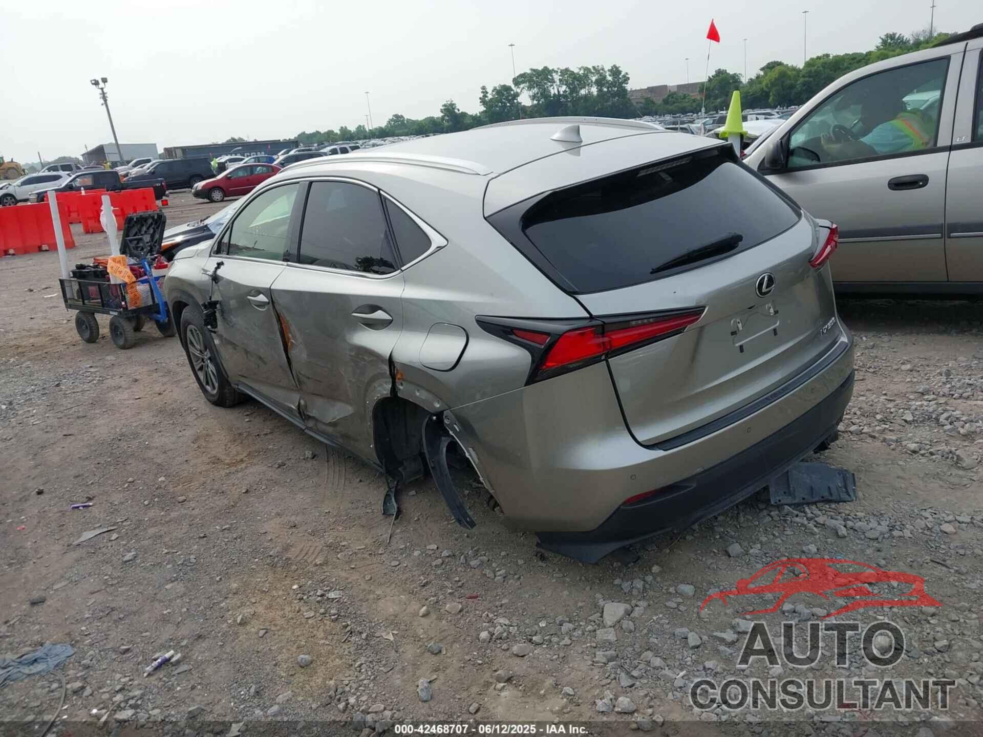 LEXUS NX 300 2020 - JTJDARBZ9L2171222