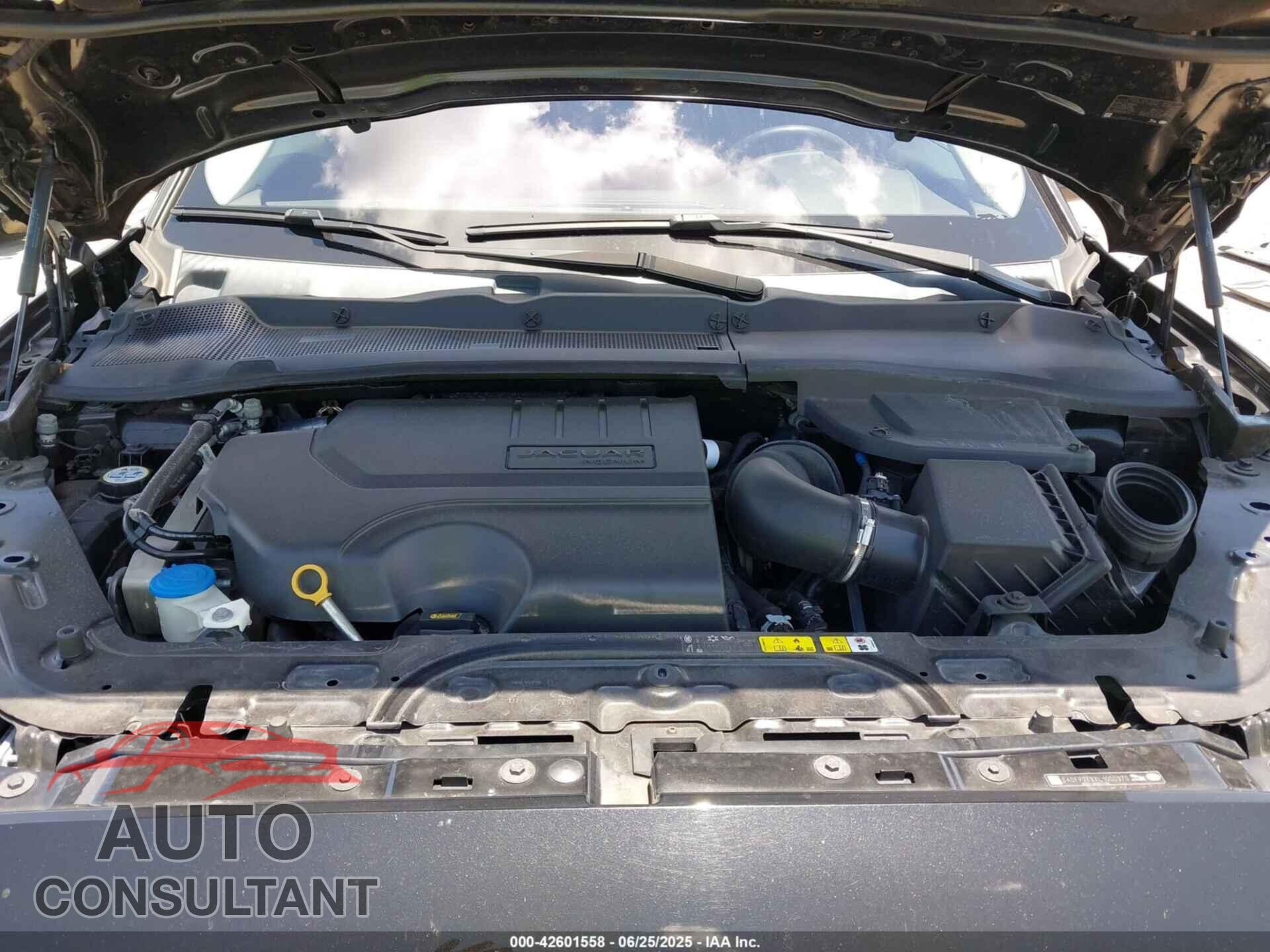JAGUAR E-PACE 2020 - SADFP2FXXL1000970