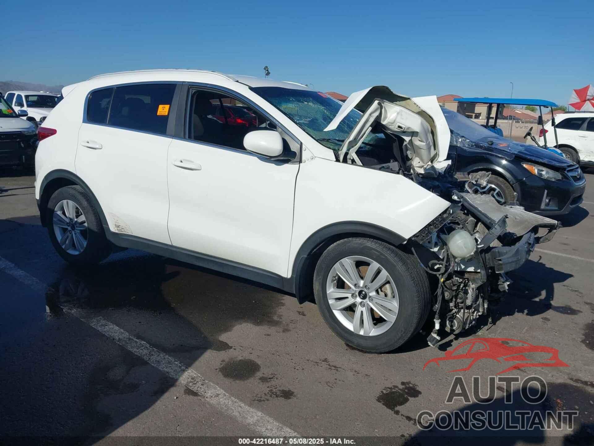 KIA SPORTAGE 2017 - KNDPM3AC1H7069795