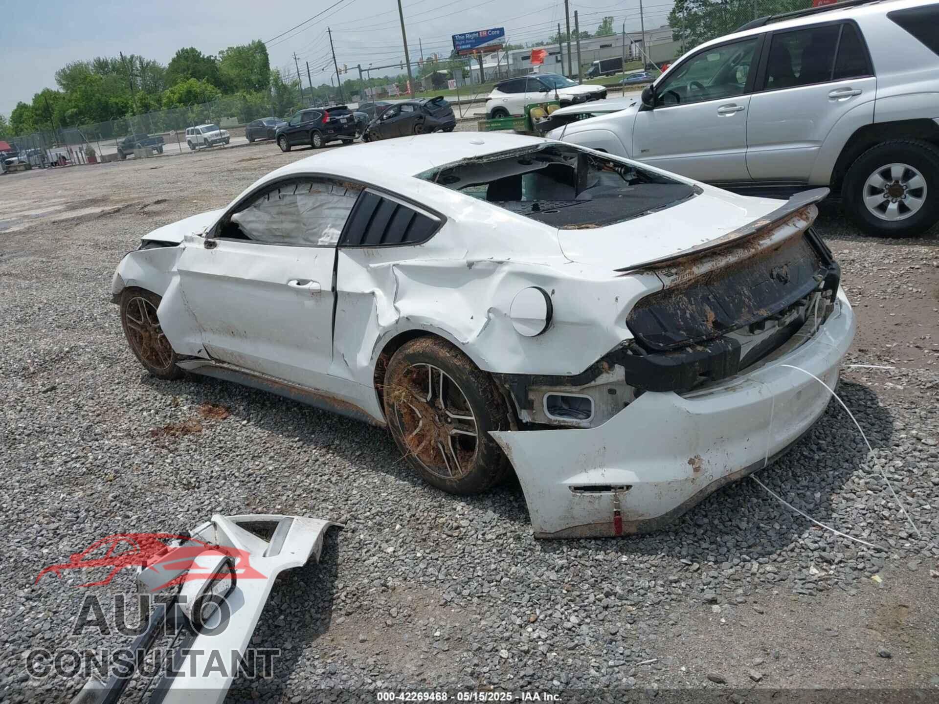 FORD MUSTANG 2019 - 1FA6P8TH8K5114605
