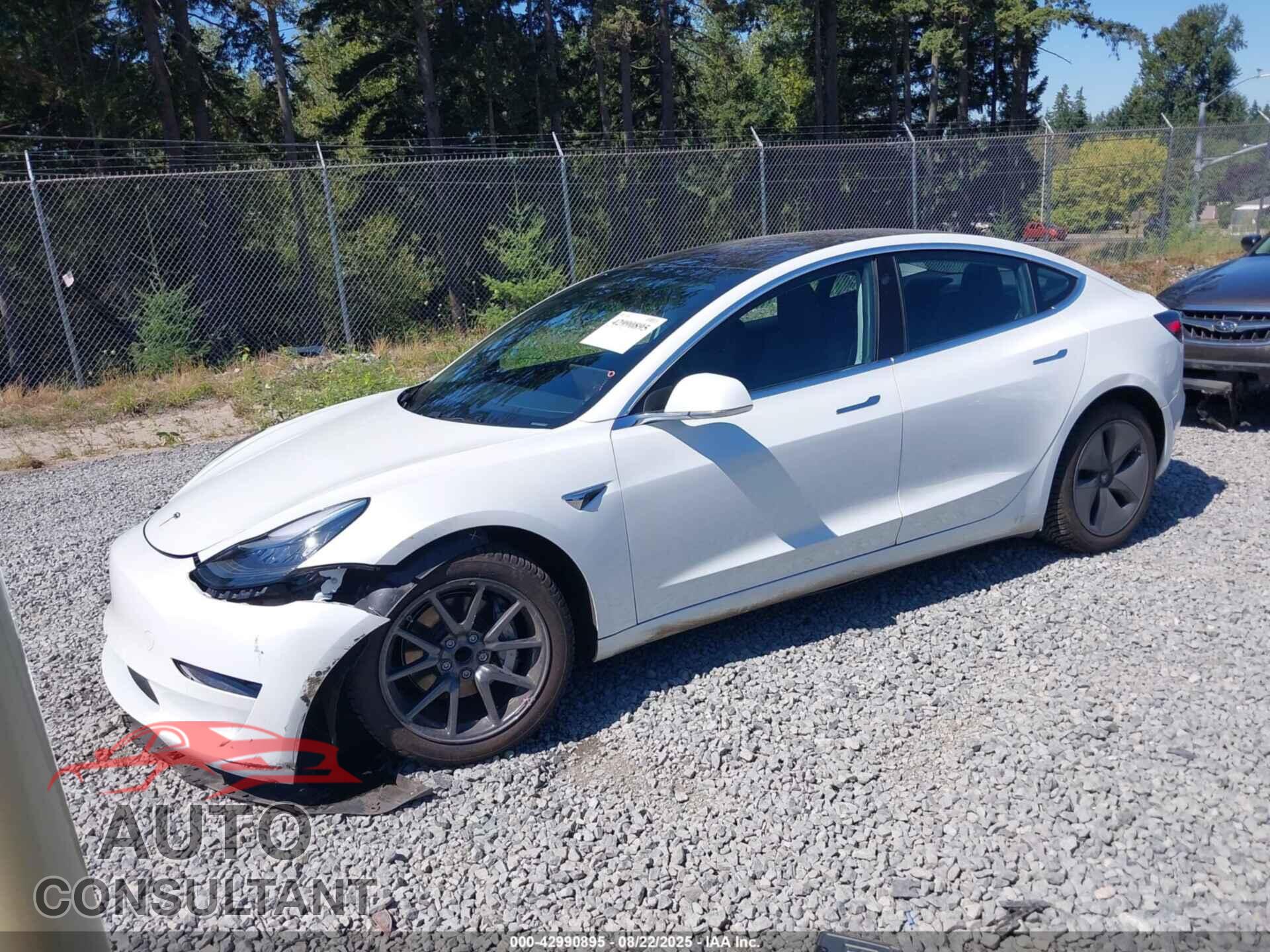 TESLA MODEL 3 2019 - 5YJ3E1EA0KF310031