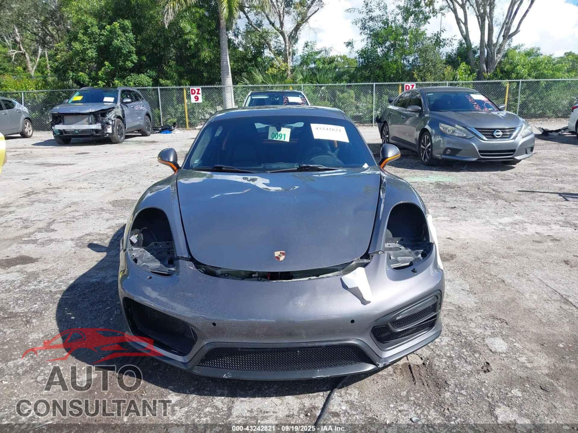 PORSCHE CAYMAN 2014 - WP0AB2A83EK193657