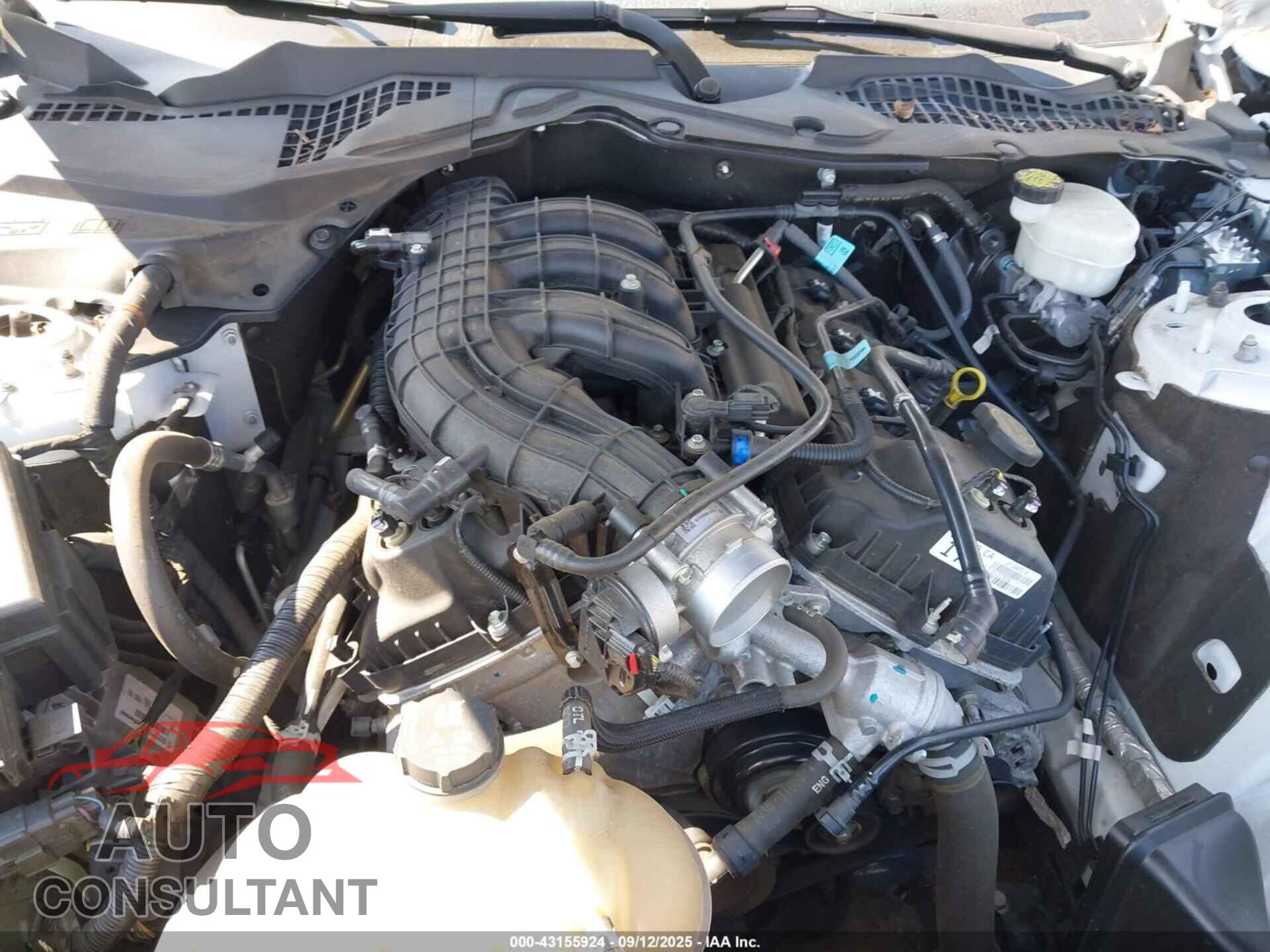FORD MUSTANG 2017 - 1FA6P8AM6H5259084