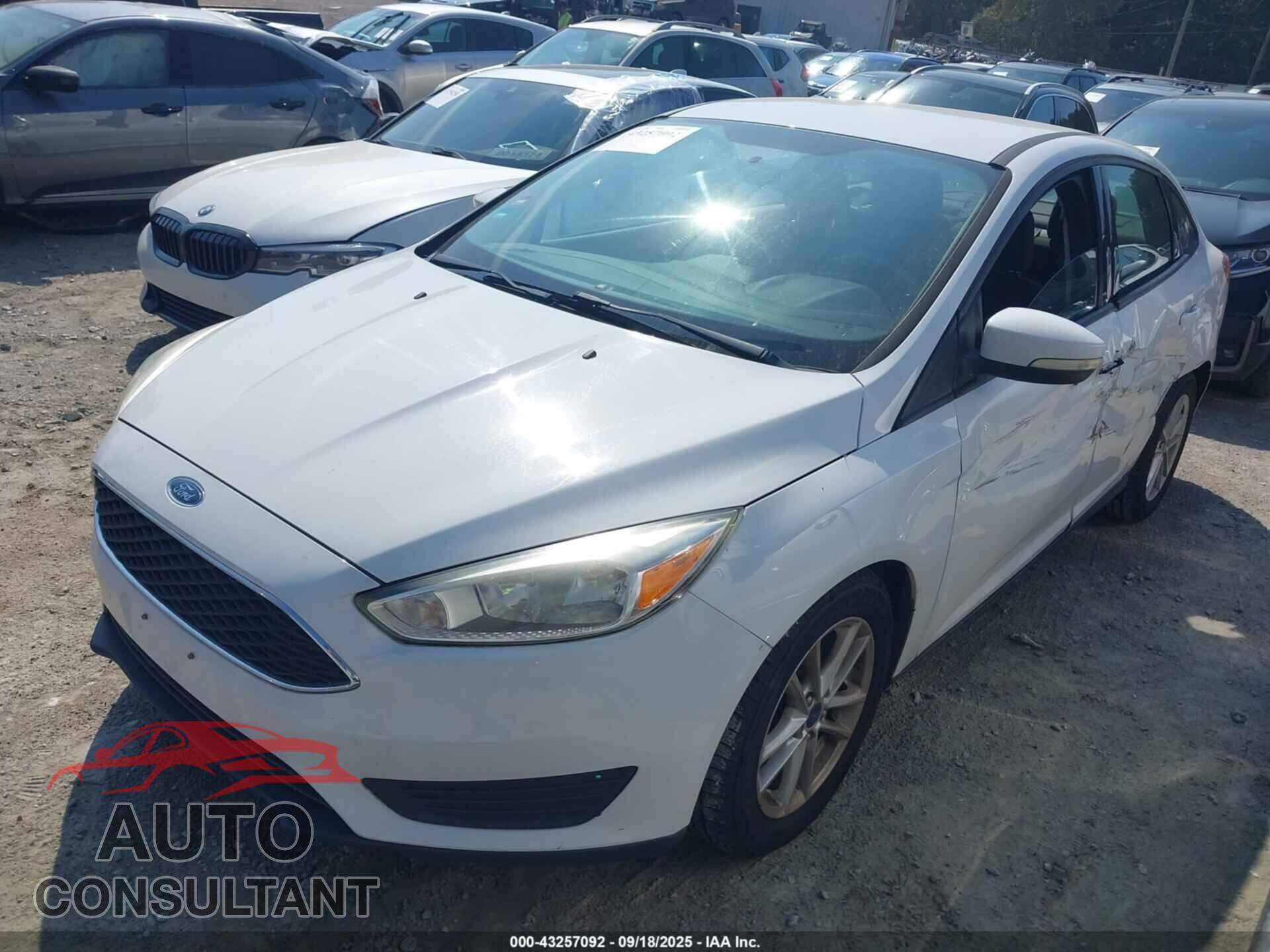 FORD FOCUS 2016 - 1FADP3F23GL320287