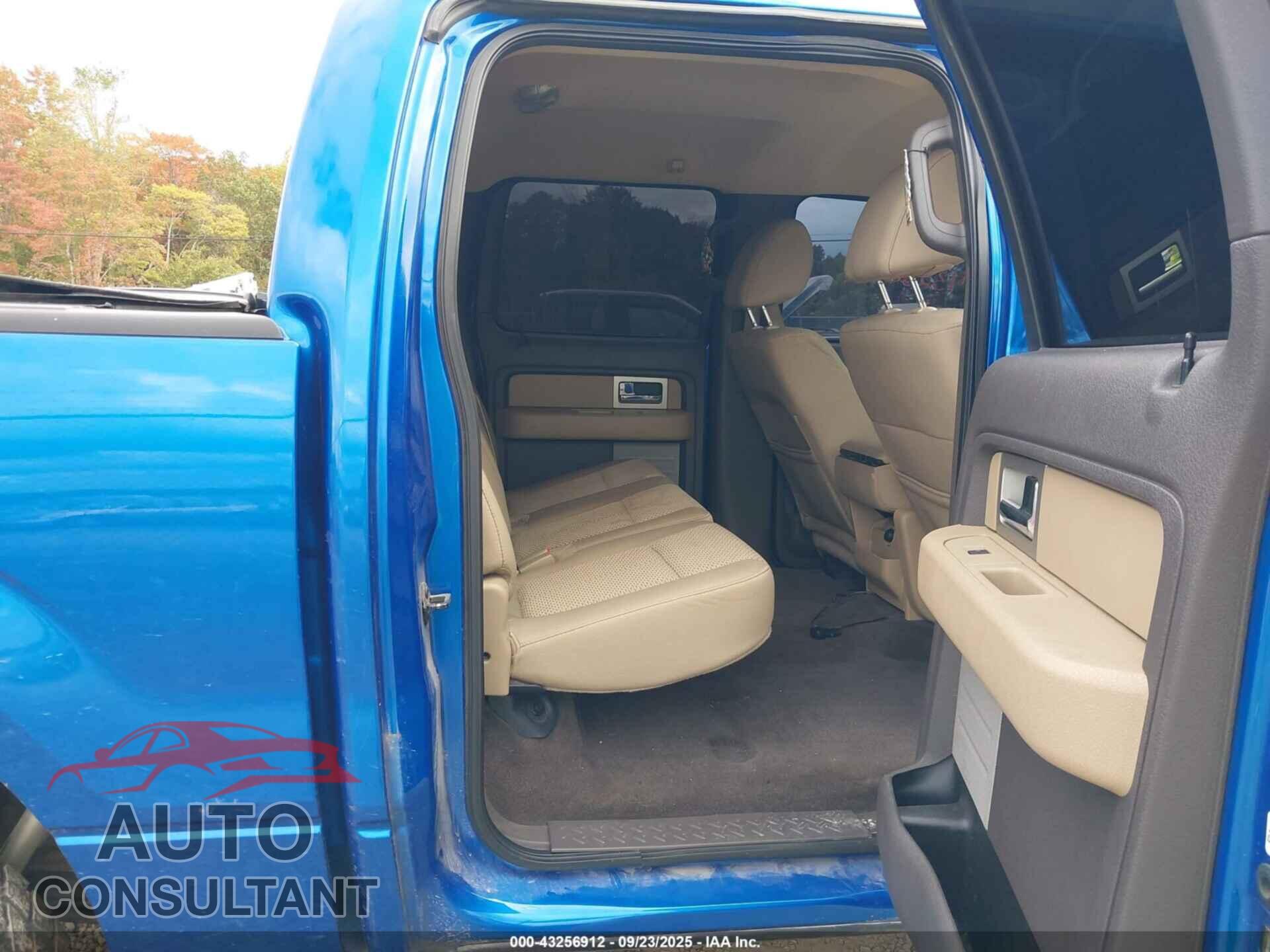 FORD F-150 2010 - 1FTEW1E81AFC96122