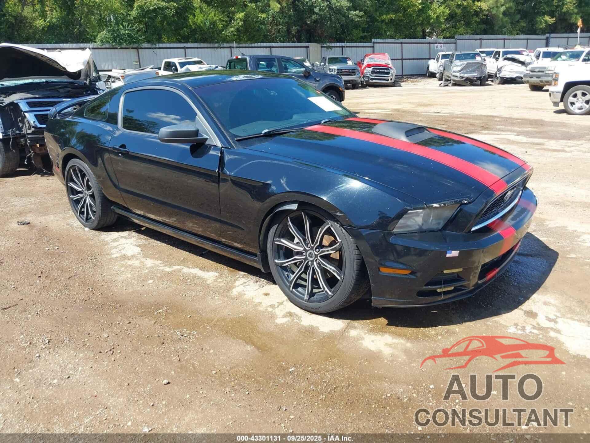 FORD MUSTANG 2014 - 1ZVBP8AM6E5300301
