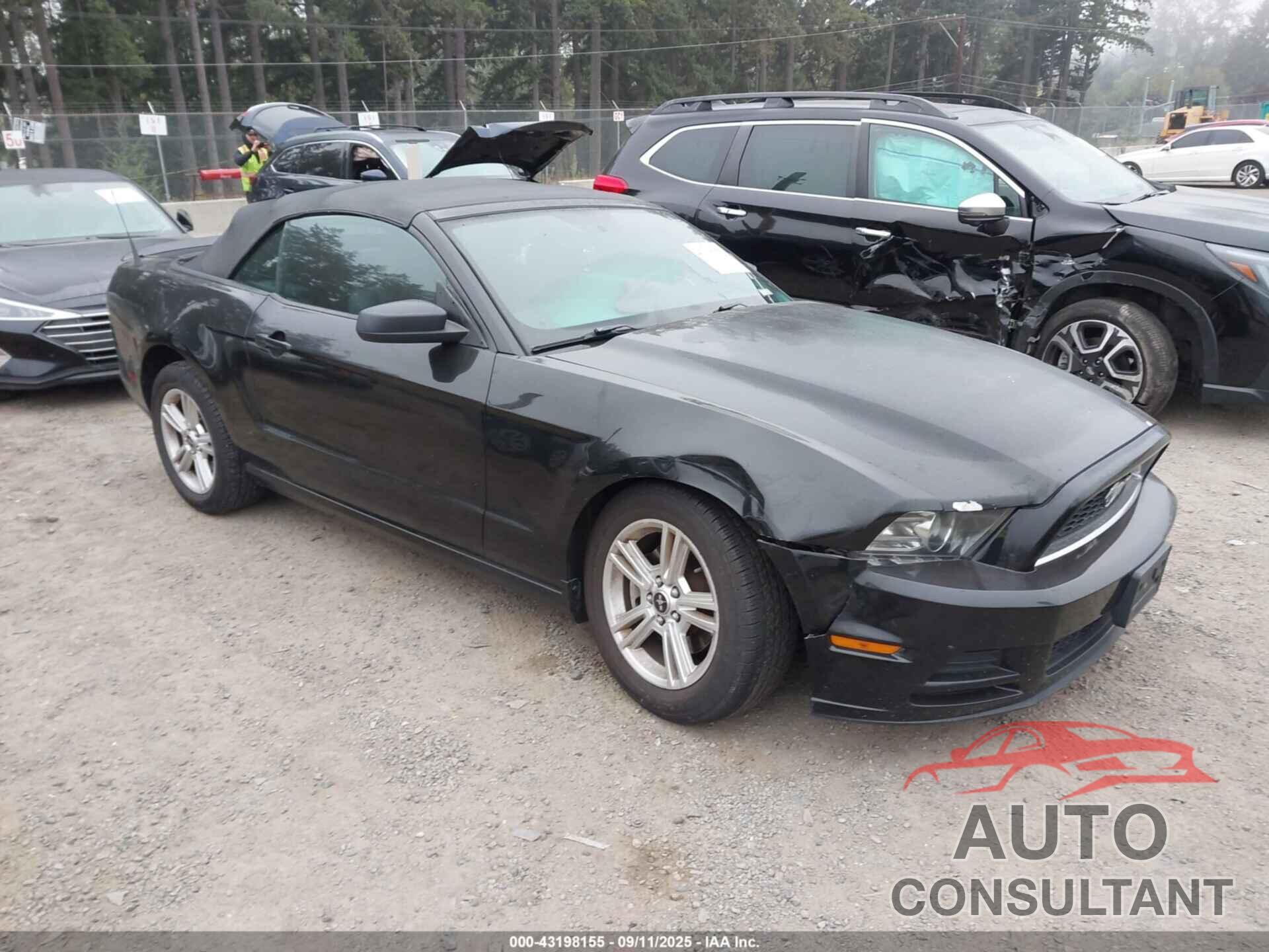 FORD MUSTANG 2013 - 1ZVBP8EM4D5230015