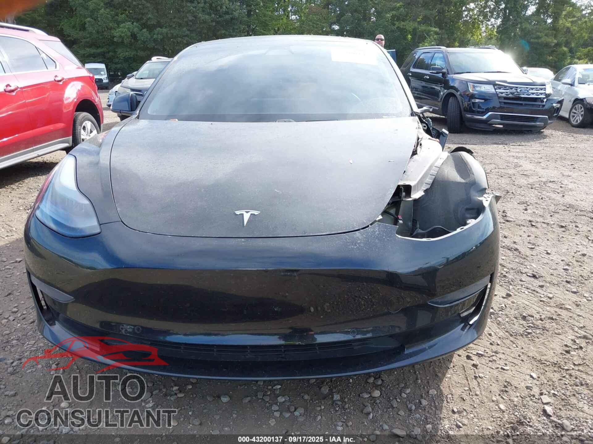 TESLA MODEL 3 2021 - 5YJ3E1EA8MF990702