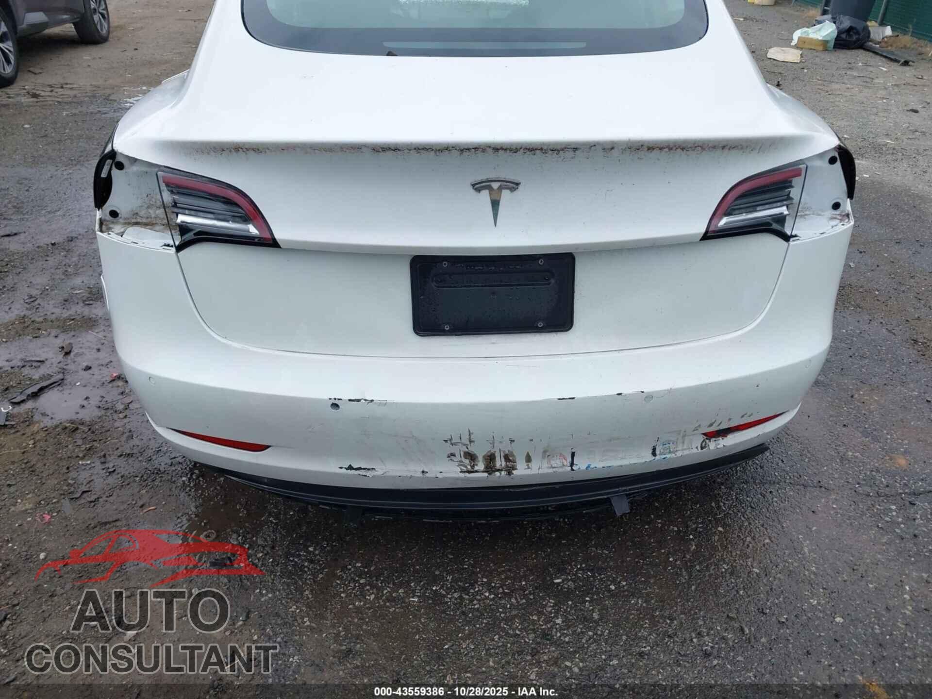 TESLA MODEL 3 2021 - 5YJ3E1EA5MF943143