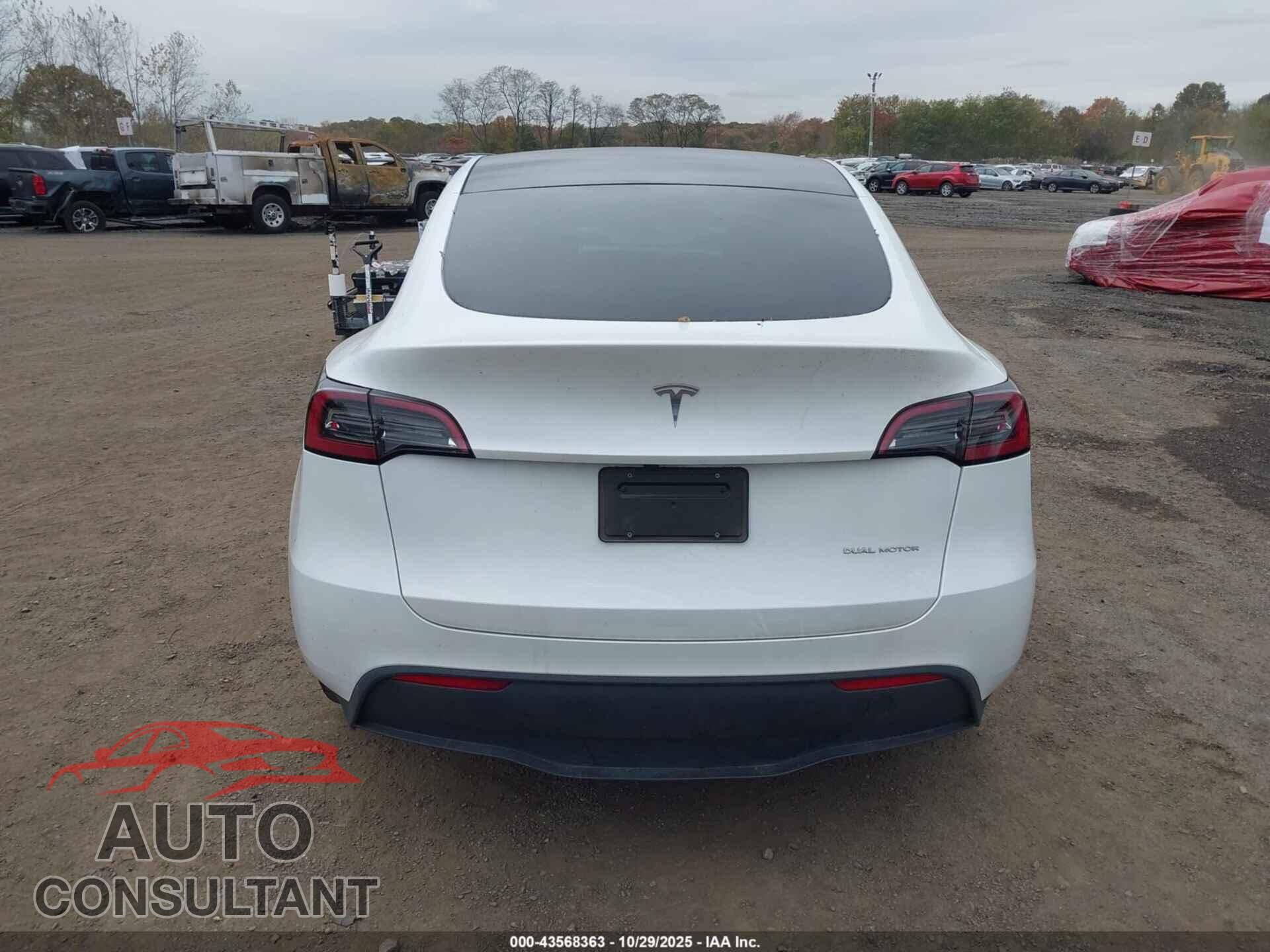 TESLA MODEL Y 2024 - 7SAYGDEEXRA286691