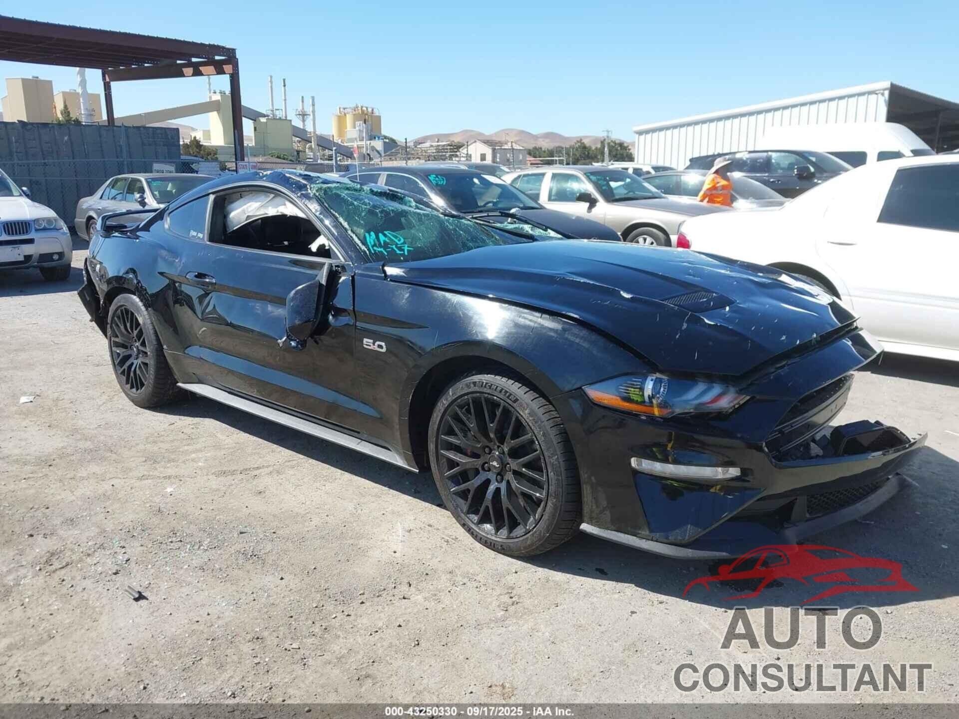 FORD MUSTANG 2019 - 1FA6P8CF5K5135894
